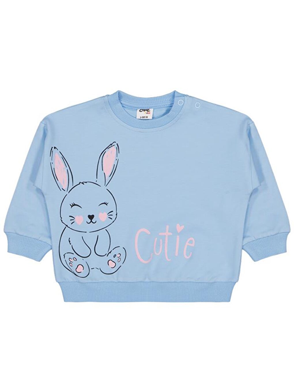 Beyaz Baby Tavşan Baskılı 3'lü Set 6-18 Ay Sweatshirt-2