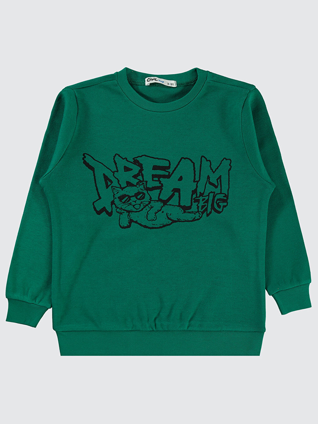 Boys Erkek Çocuk Sweatshirt 2-5 Yaş Çam Yeşili