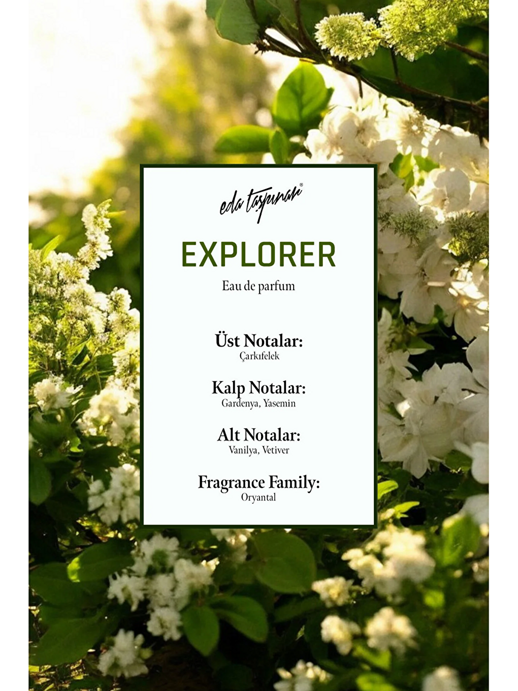 Explorer Parfum Edp - 100 Ml (egy0047)-2