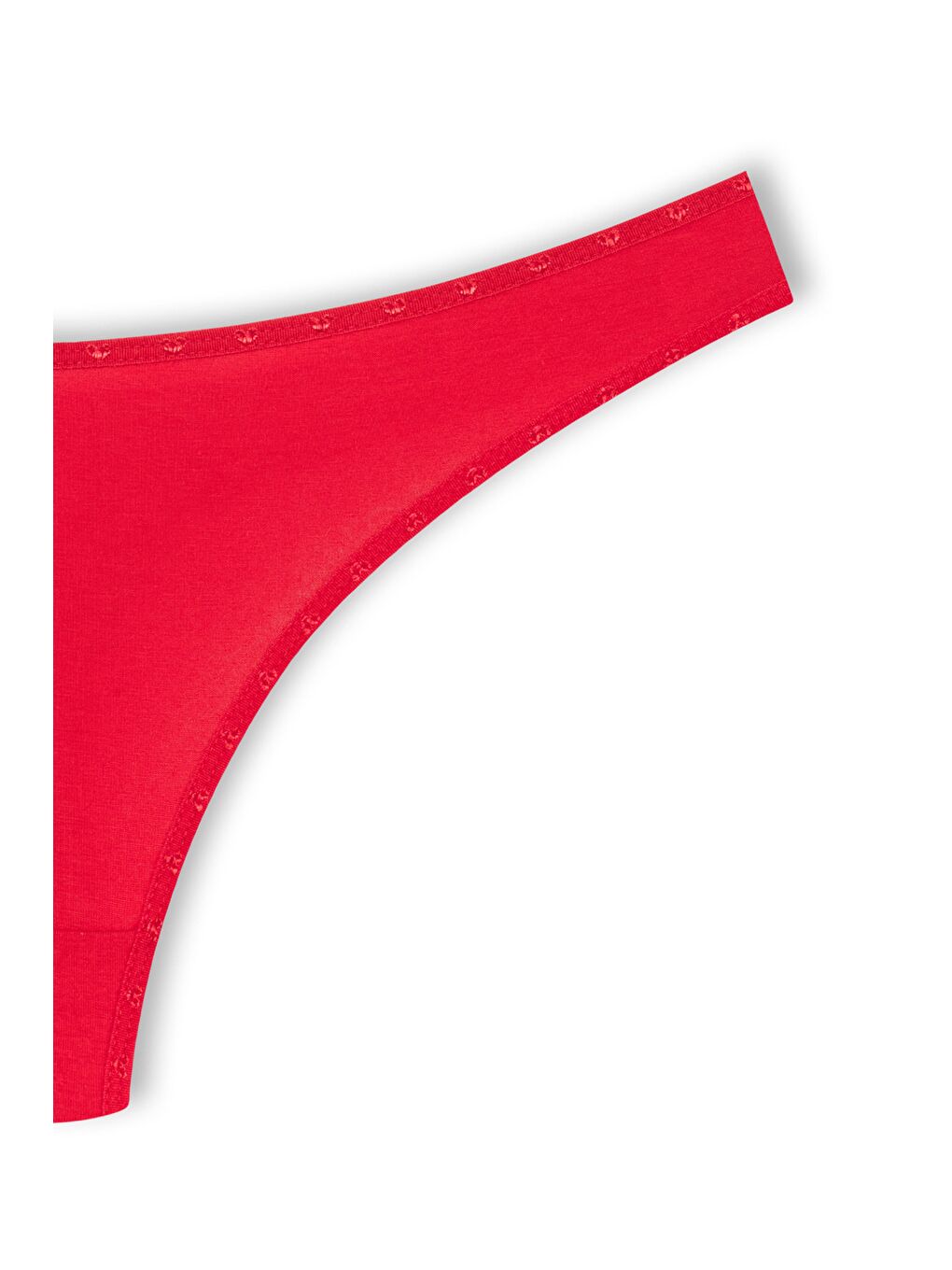 Bordo Pamuklu Kalpli Lastik Basic Tanga Kadın Külot 5'li-9