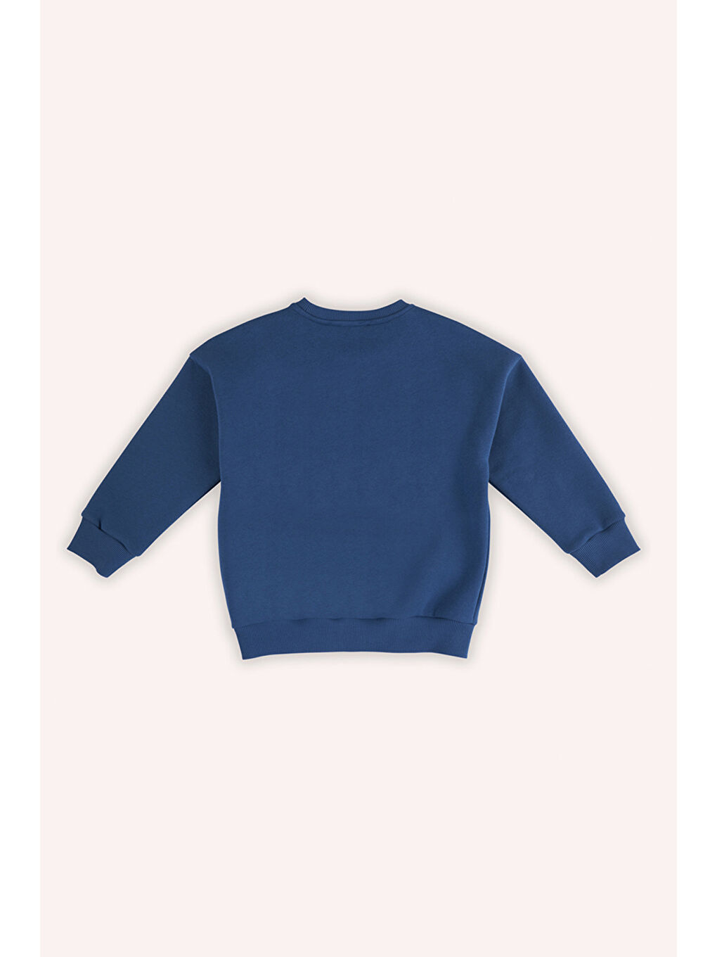 Erkek Çocuk Nakışlı İndigo Sweatshirt-1