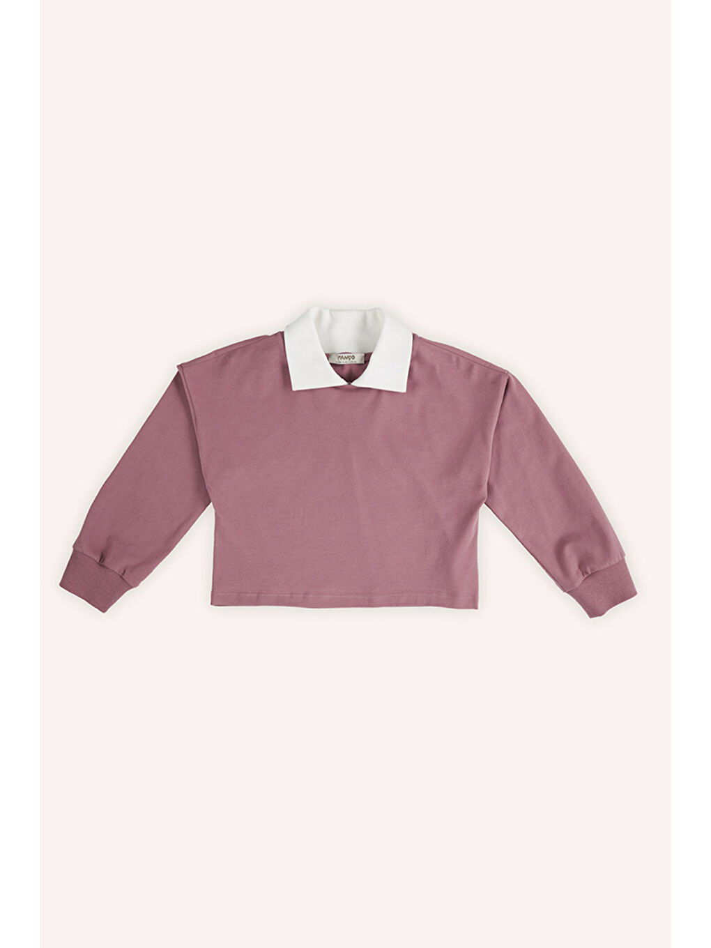 Pembe Kız Çocuk Yakalı Uzun Kollu Gül Kurusu Tişört