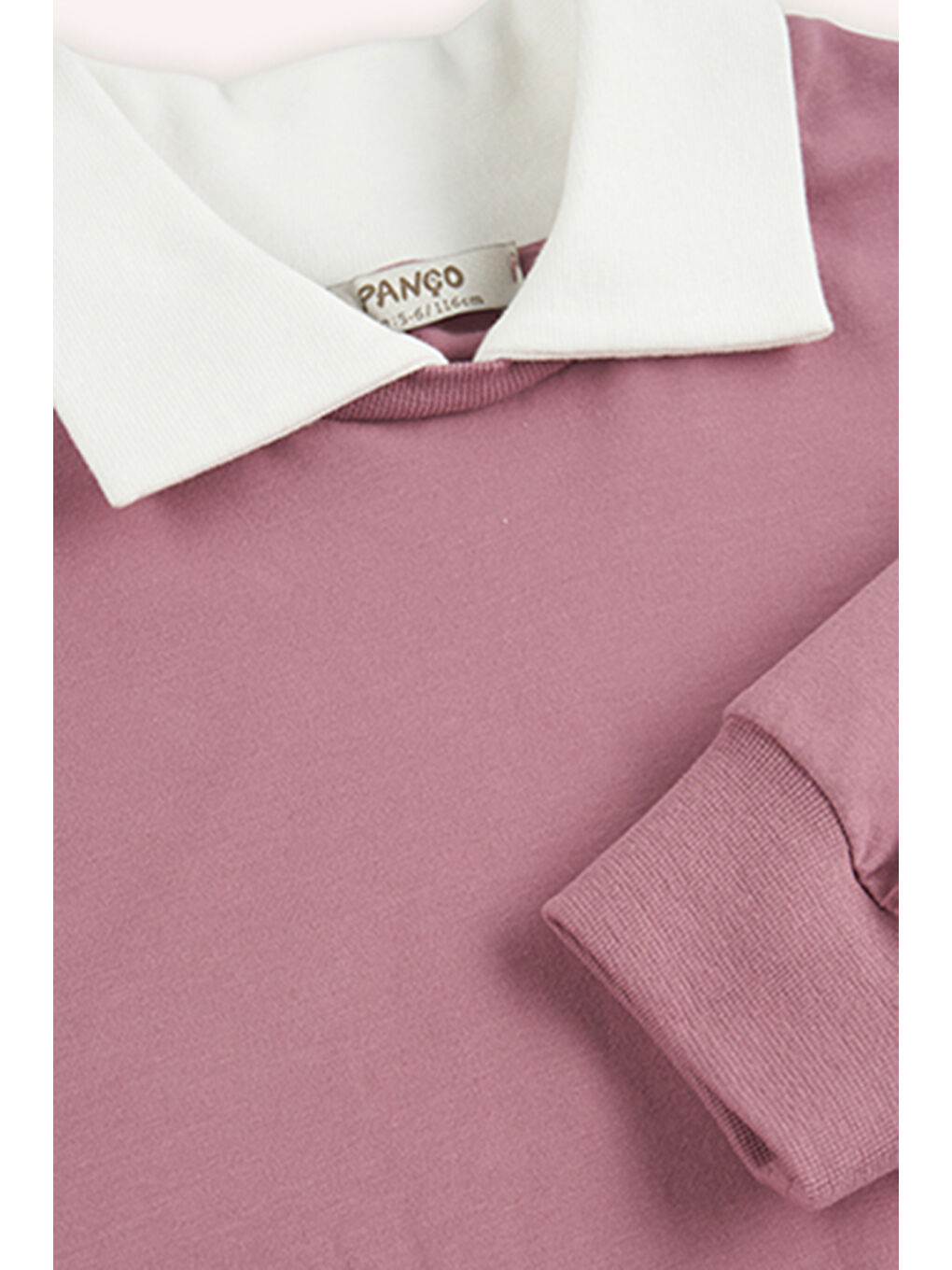 Pembe Kız Çocuk Yakalı Uzun Kollu Gül Kurusu Tişört-2