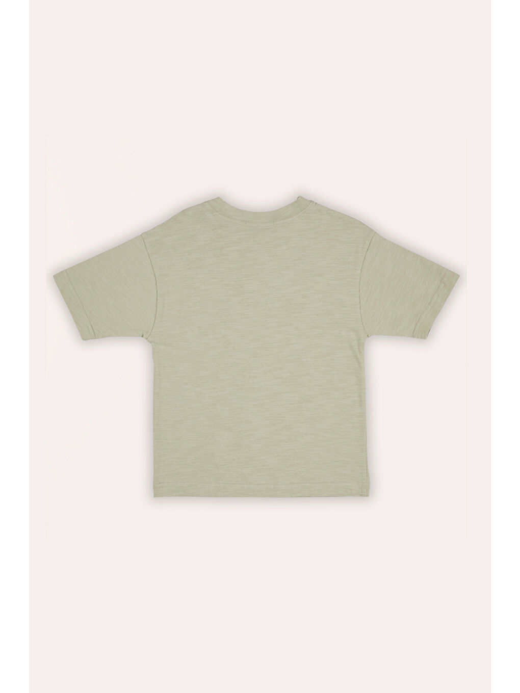 Erkek Çocuk Baskı Detaylı Açık Haki Tişört-1