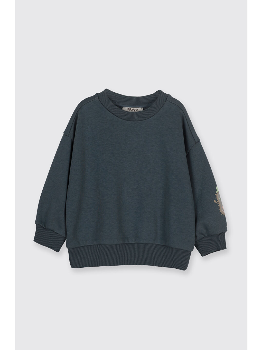 Erkek Bebek Baskı Detaylı Yumuşak Dokulu Petrol Sweatshirt