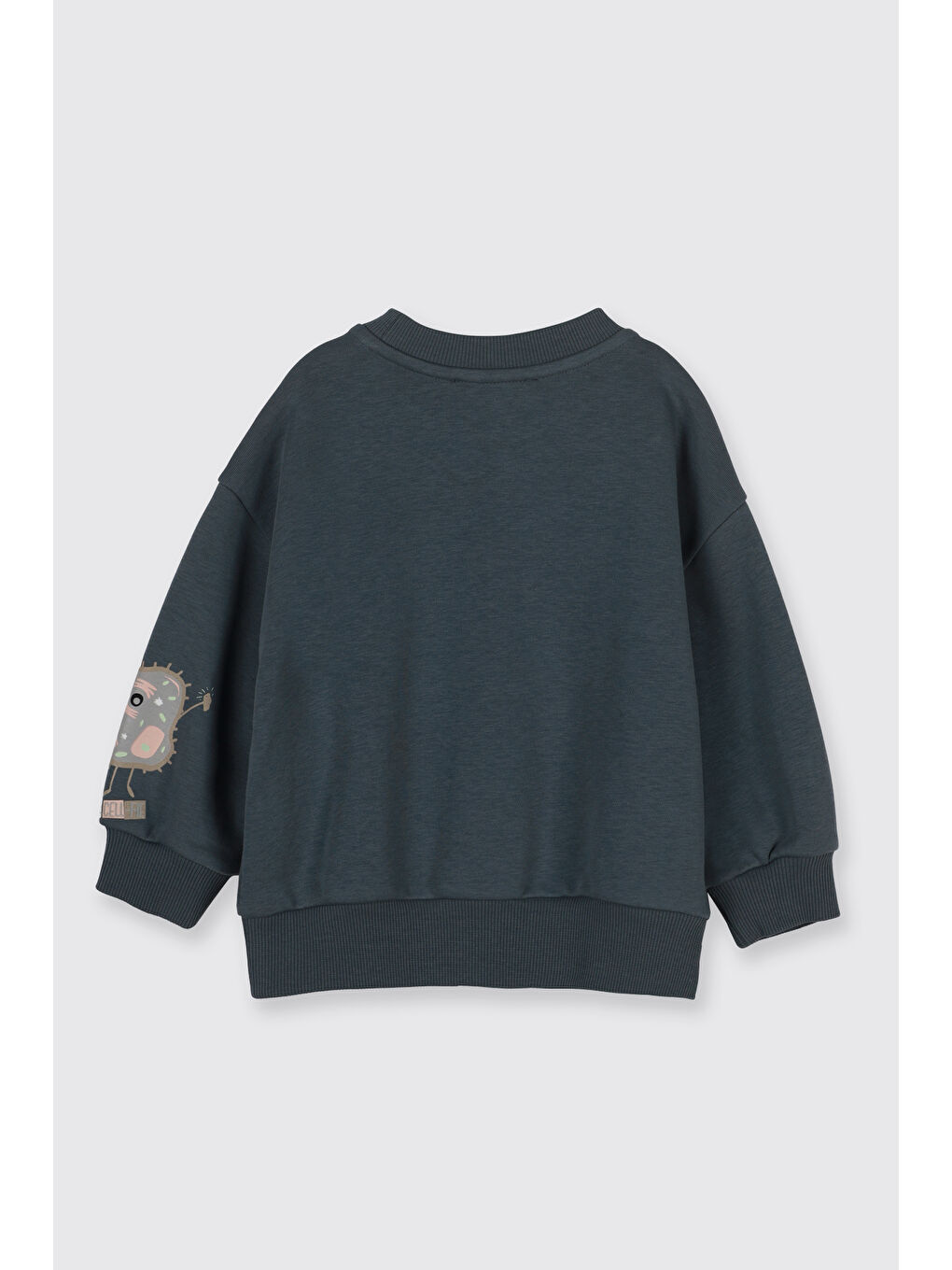 Erkek Bebek Baskı Detaylı Yumuşak Dokulu Petrol Sweatshirt-1