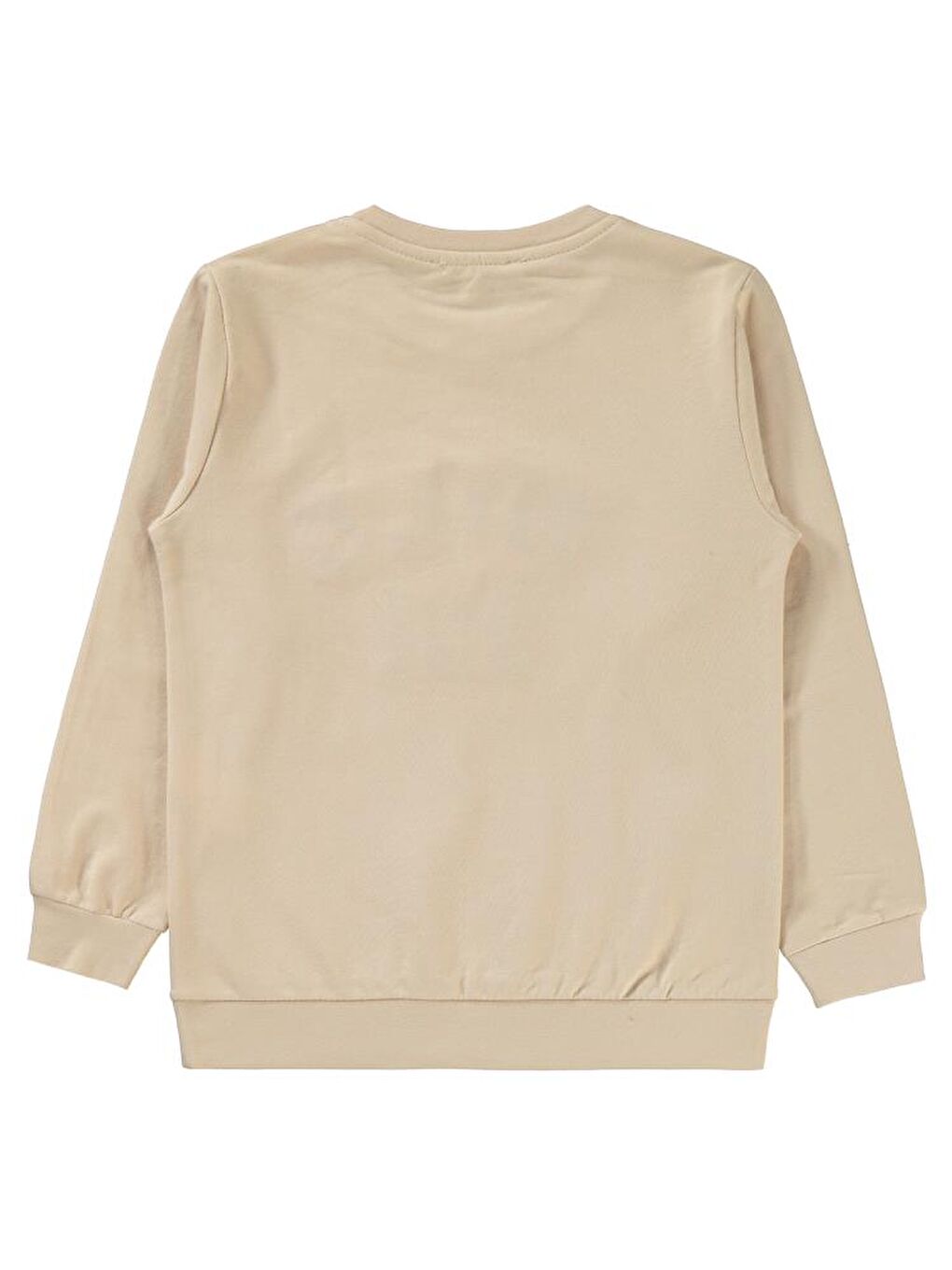 Boys Wıld One Nakışlı 10-13 Yaş Sweatshirt - Bej 13-14 Yaş-1