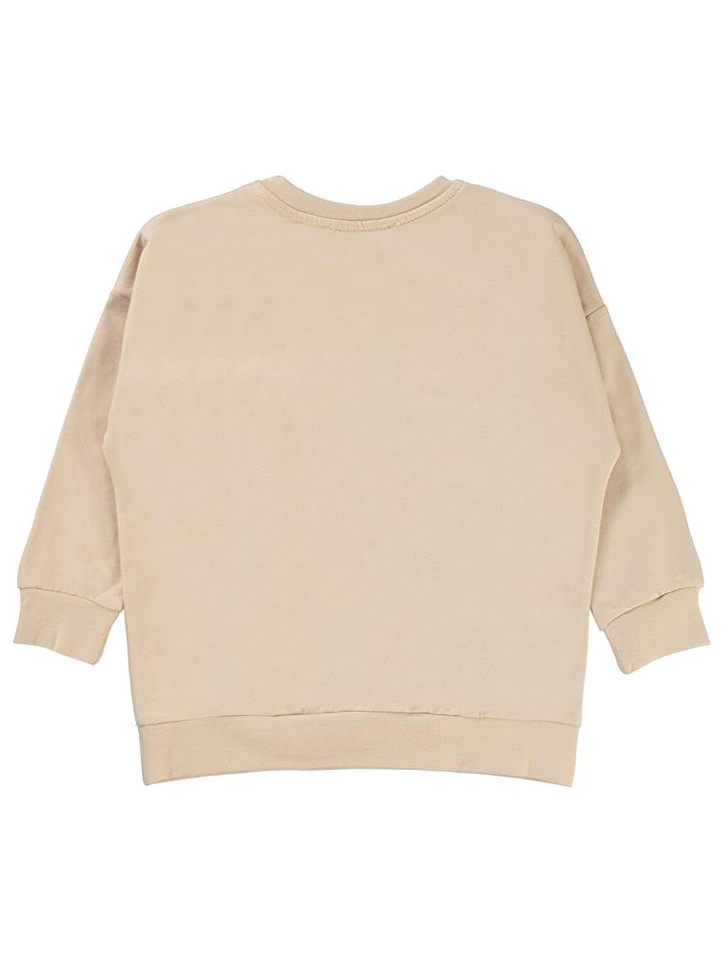 Boys Specıal Mıssıon Fun Baskılı 2-5 Yaş Sweatshirt - Bej2-3 Yaş