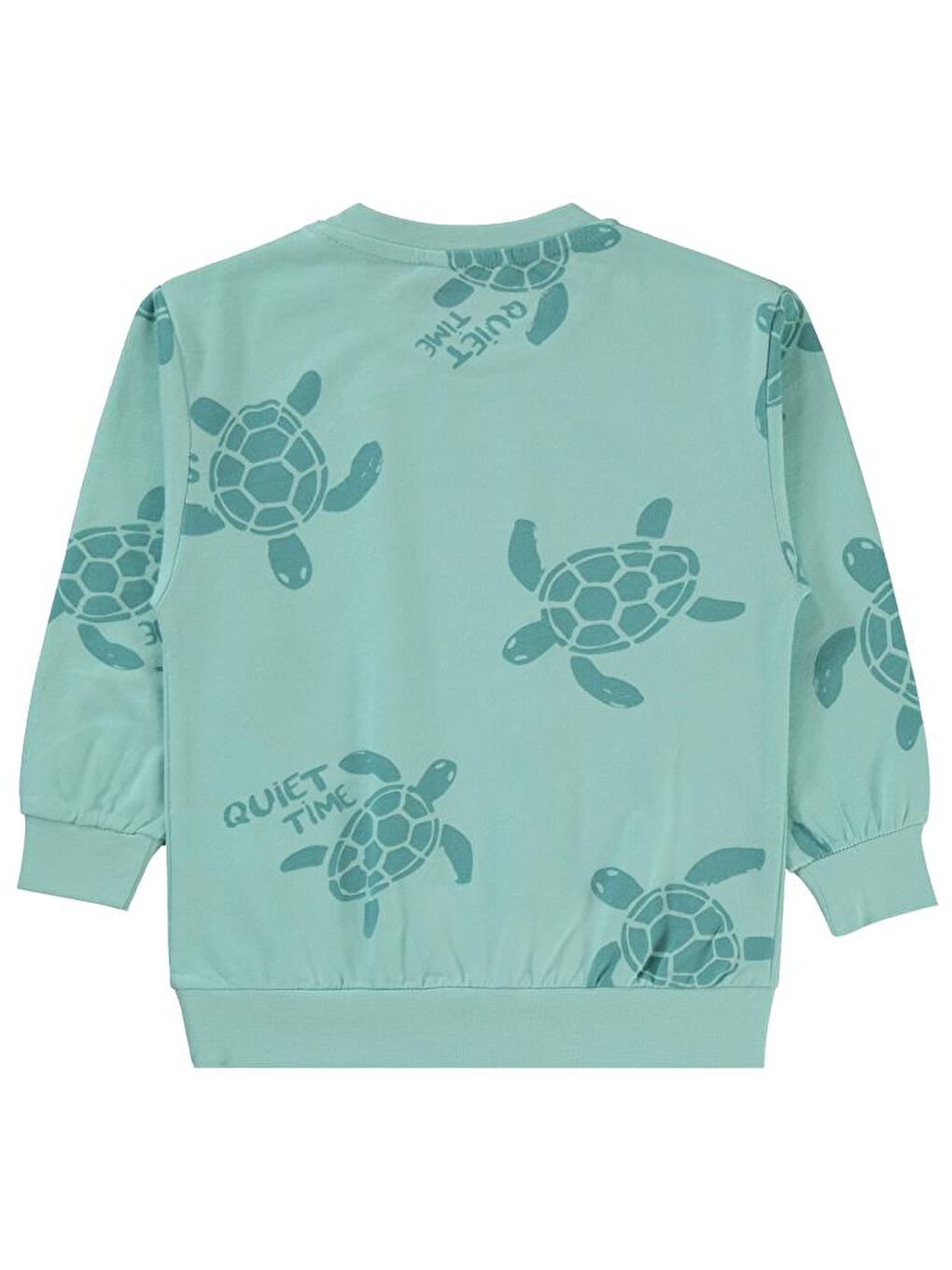 Boys Erkek Çocuk Sweatshirt 2-5 Yaş Turkuaz