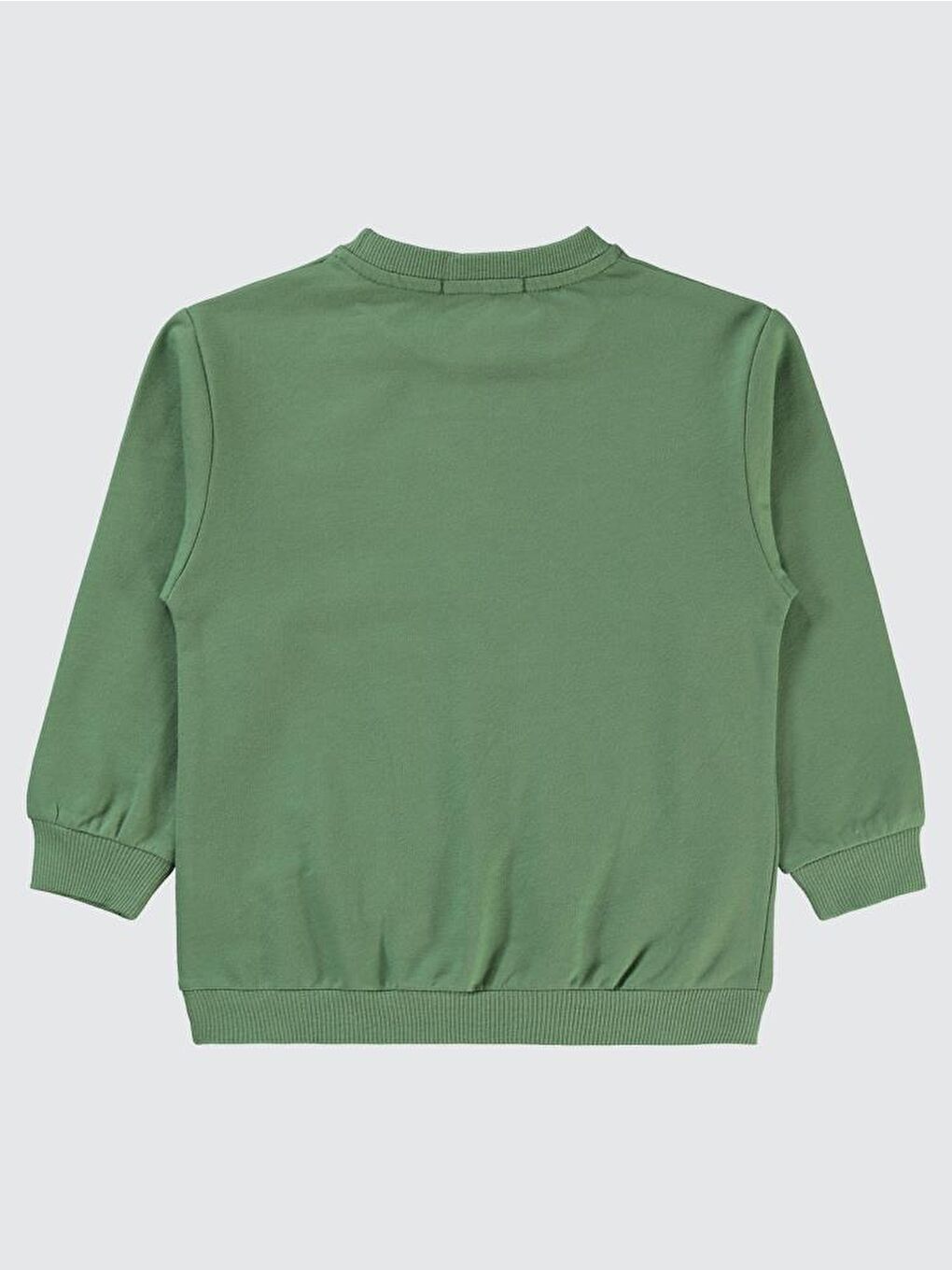 Boys Timsah Baskılı 2-5 Yaş Sweatshirt - Yeşil 2-3 Yaş