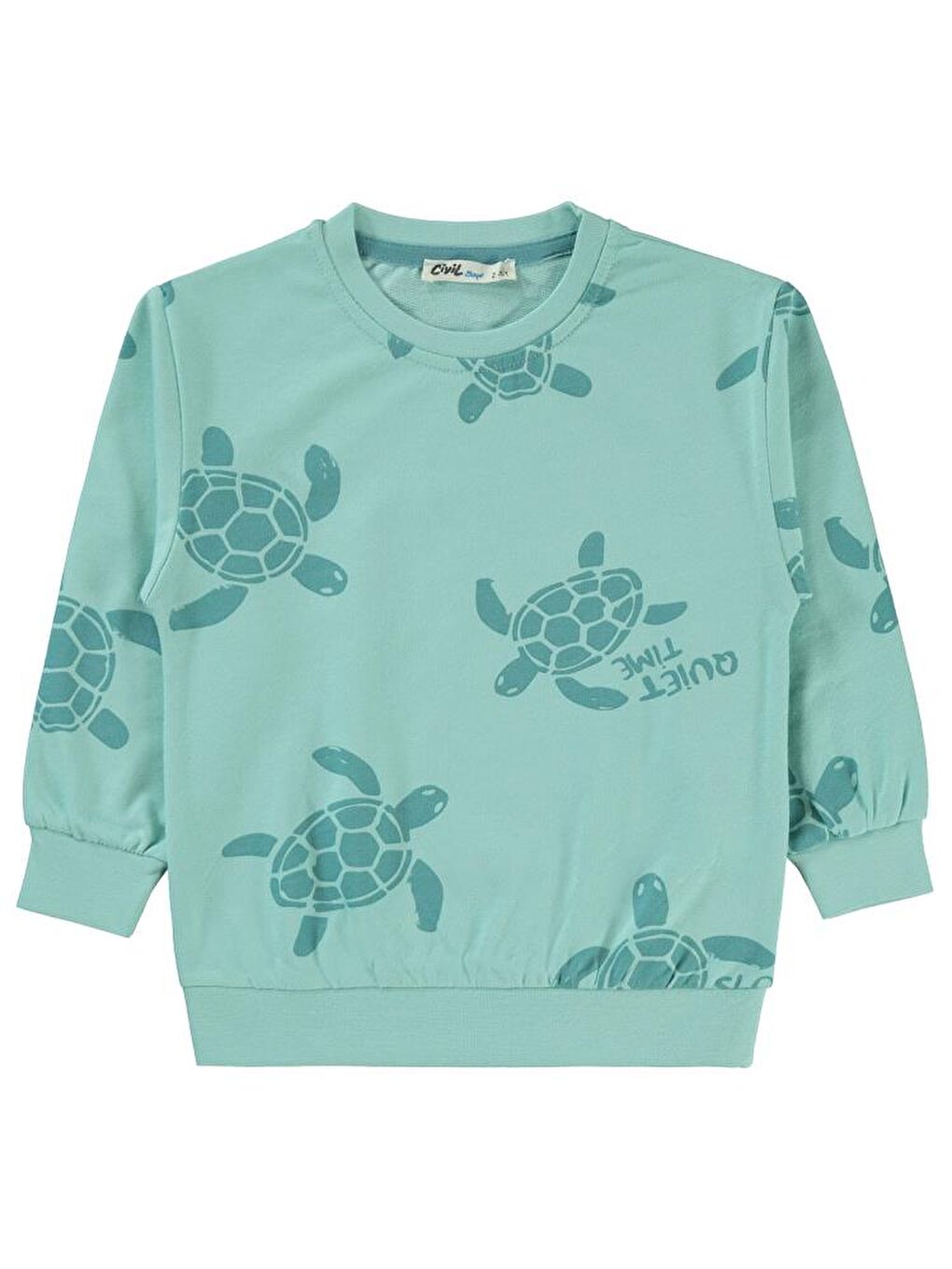 Boys Erkek Çocuk Sweatshirt 2-5 Yaş Turkuaz-1