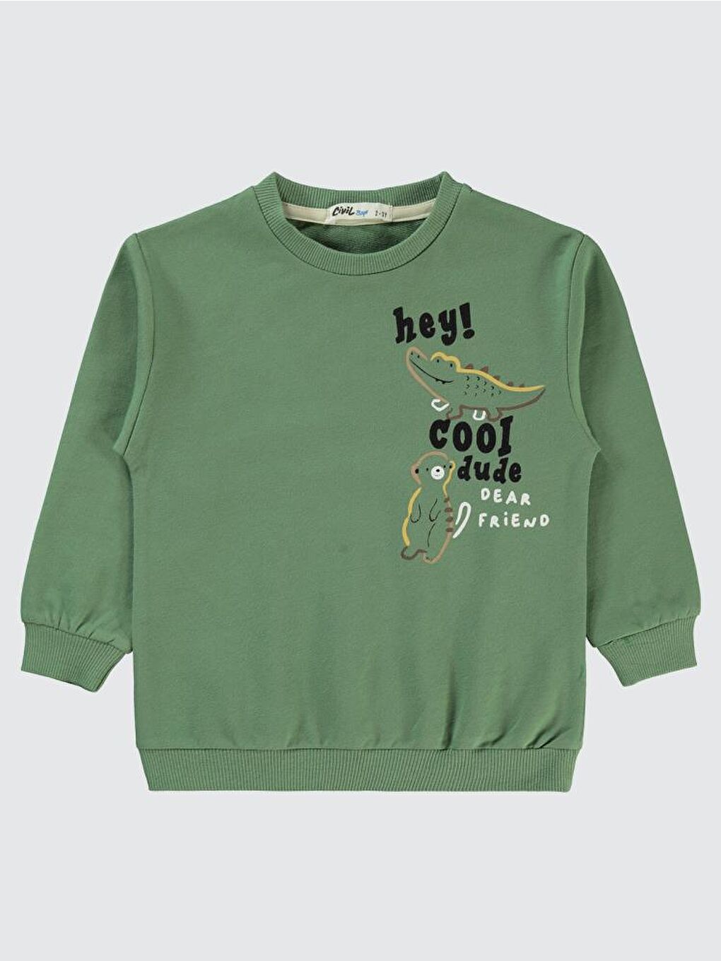 Boys Timsah Baskılı 2-5 Yaş Sweatshirt - Yeşil 2-3 Yaş-1