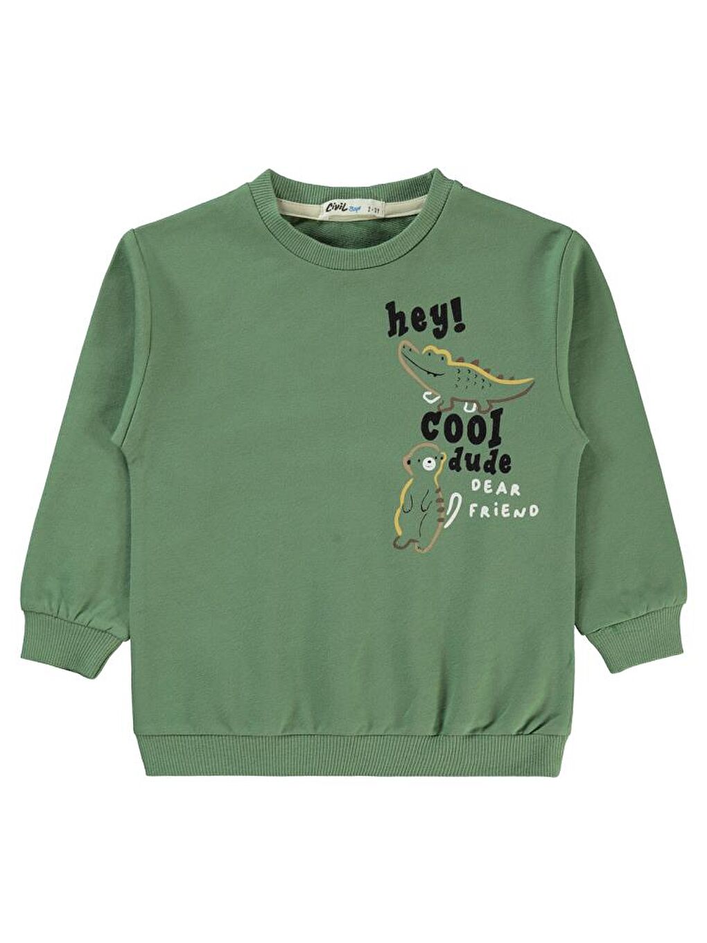 Boys Timsah Baskılı 2-5 Yaş Sweatshirt - Yeşil 2-3 Yaş-2