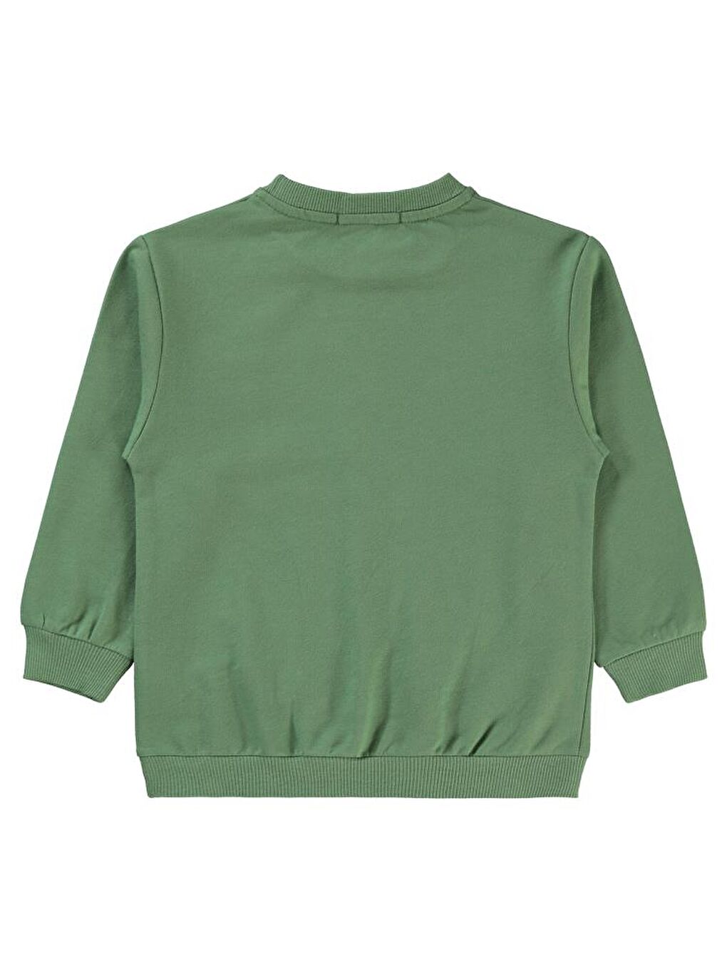 Boys Timsah Baskılı 2-5 Yaş Sweatshirt - Yeşil 2-3 Yaş-3