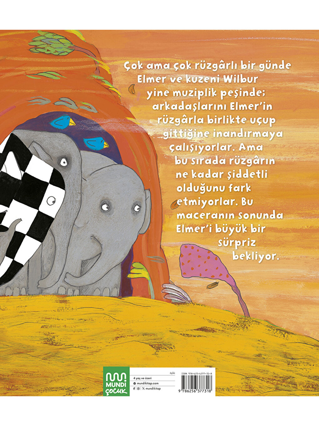 Elmer ve Rüzgar-2