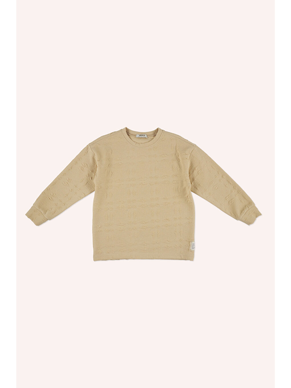 Erkek Çocuk Bej Sweatshirt-2