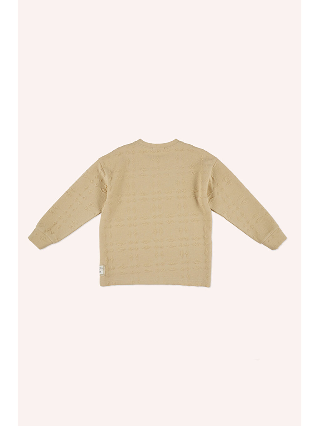 Erkek Çocuk Bej Sweatshirt-3