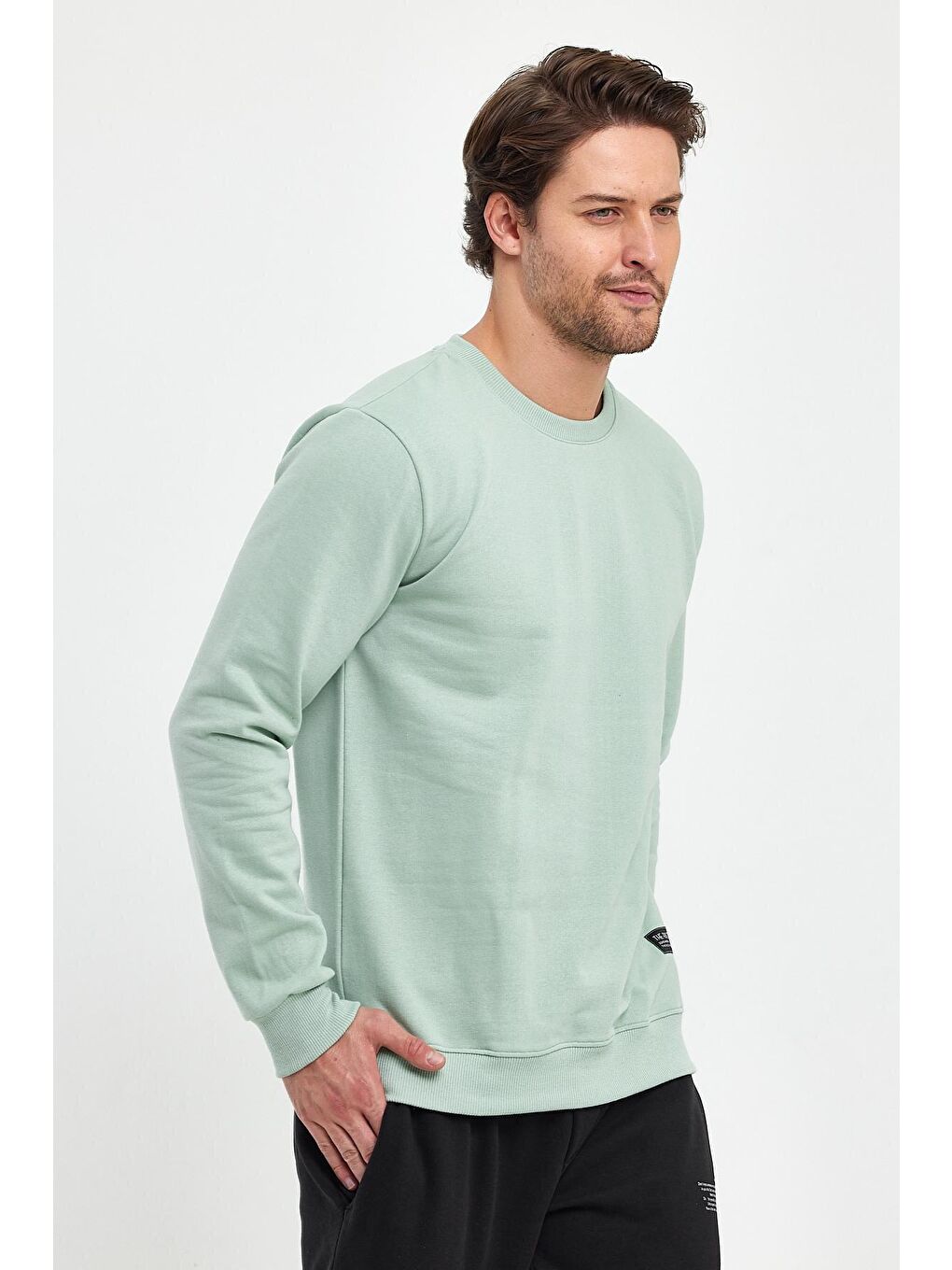 THE RULE Nane Yeşili Regular Fit Bisiklet Yaka Pamuklu Basic Erkek Sweatshirt RF0451 - 1