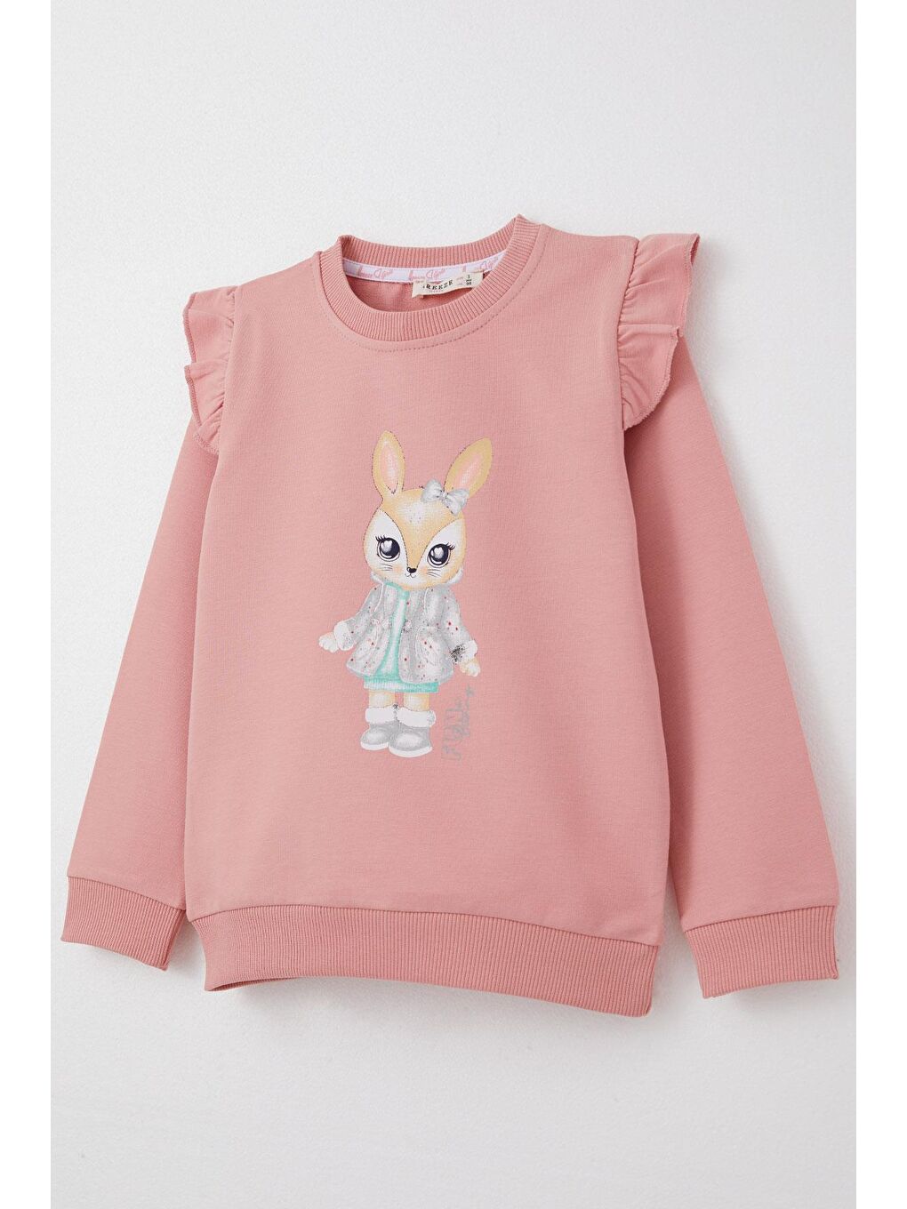 Pembe Kız Çocuk Eşofman Takım Sevimli Tavşancık Baskılı Gülkurusu (3 Yaş)-10