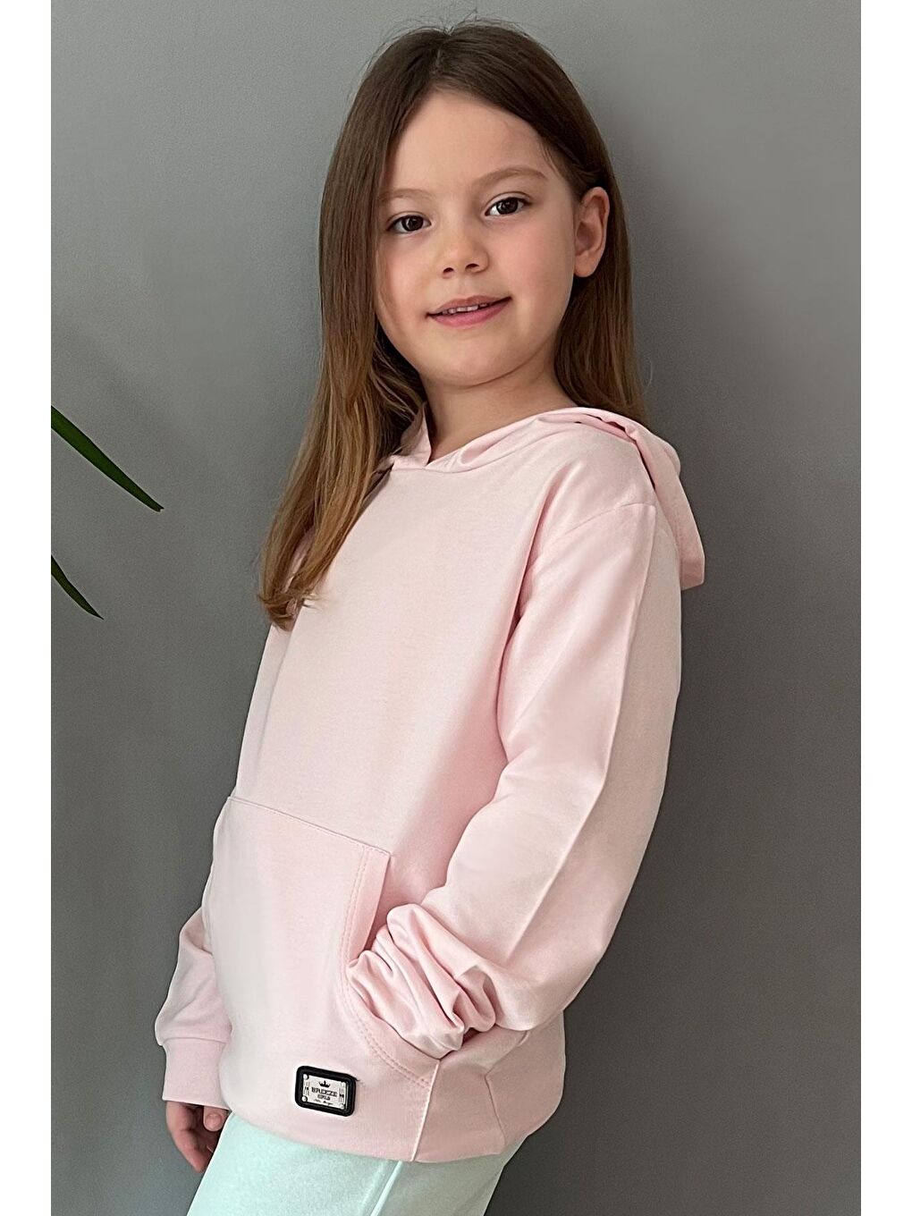 Kız Çocuk Sweatshirt Kanguru Cepli Armalı Pembe (4-8 Yaş)-1