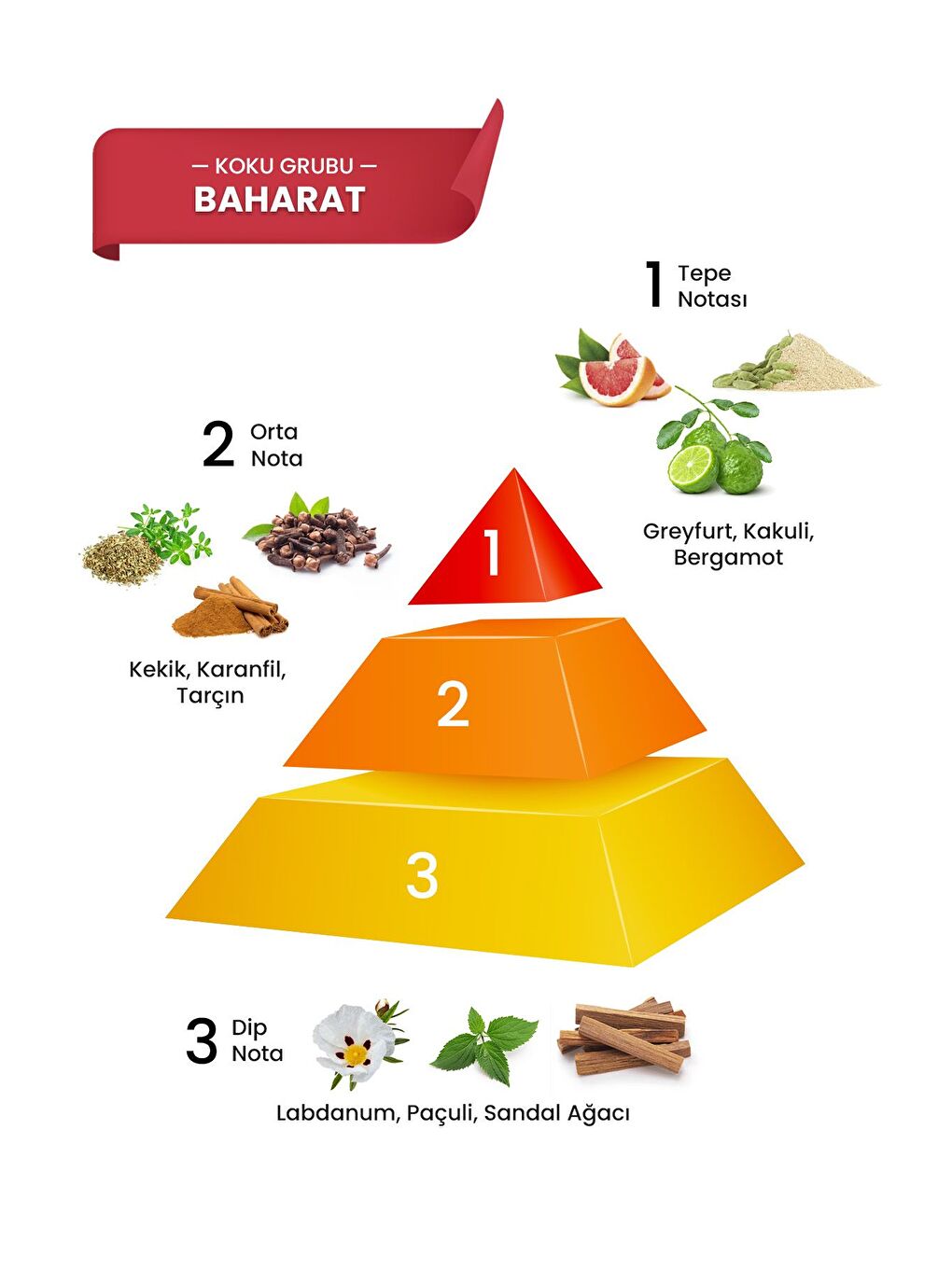 CRYPTO EDT 100 ML Erkek Parfümü - 8696601040587-1