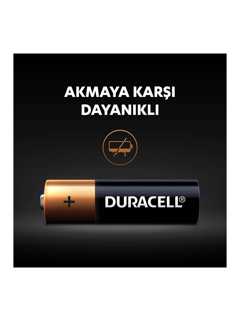 Alkalin AA  Kalem Pil  1 5V  LR03   MN2400   24 lü Paket-4