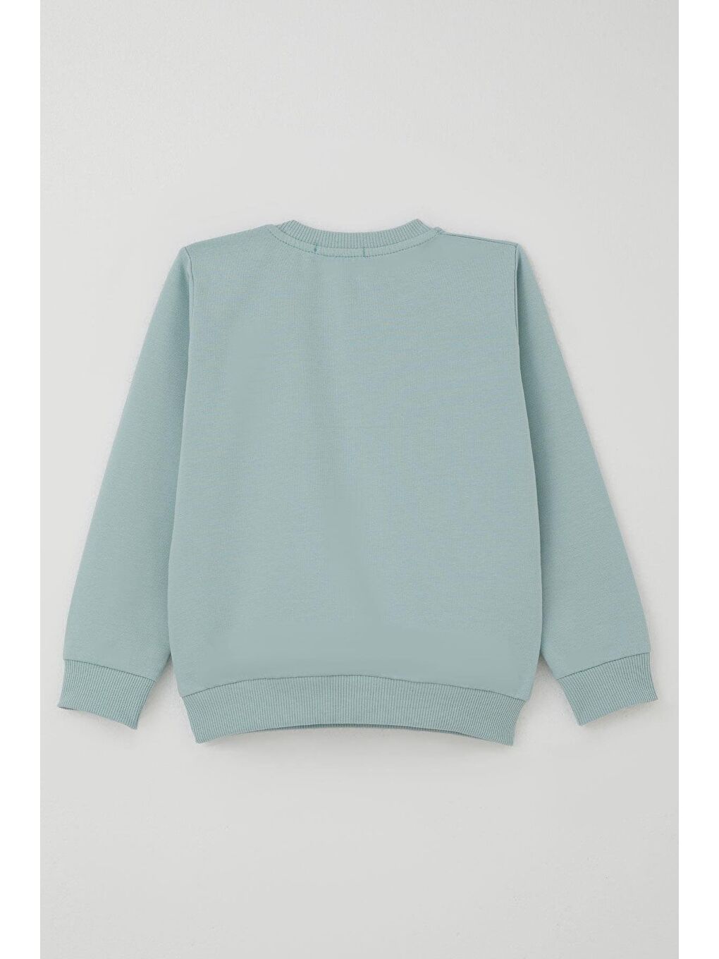 Turkuaz Erkek Çocuk Eşofman Takımı Sevimli Kaplan Nakışlı Su Yeşili (1-4 Yaş)-5