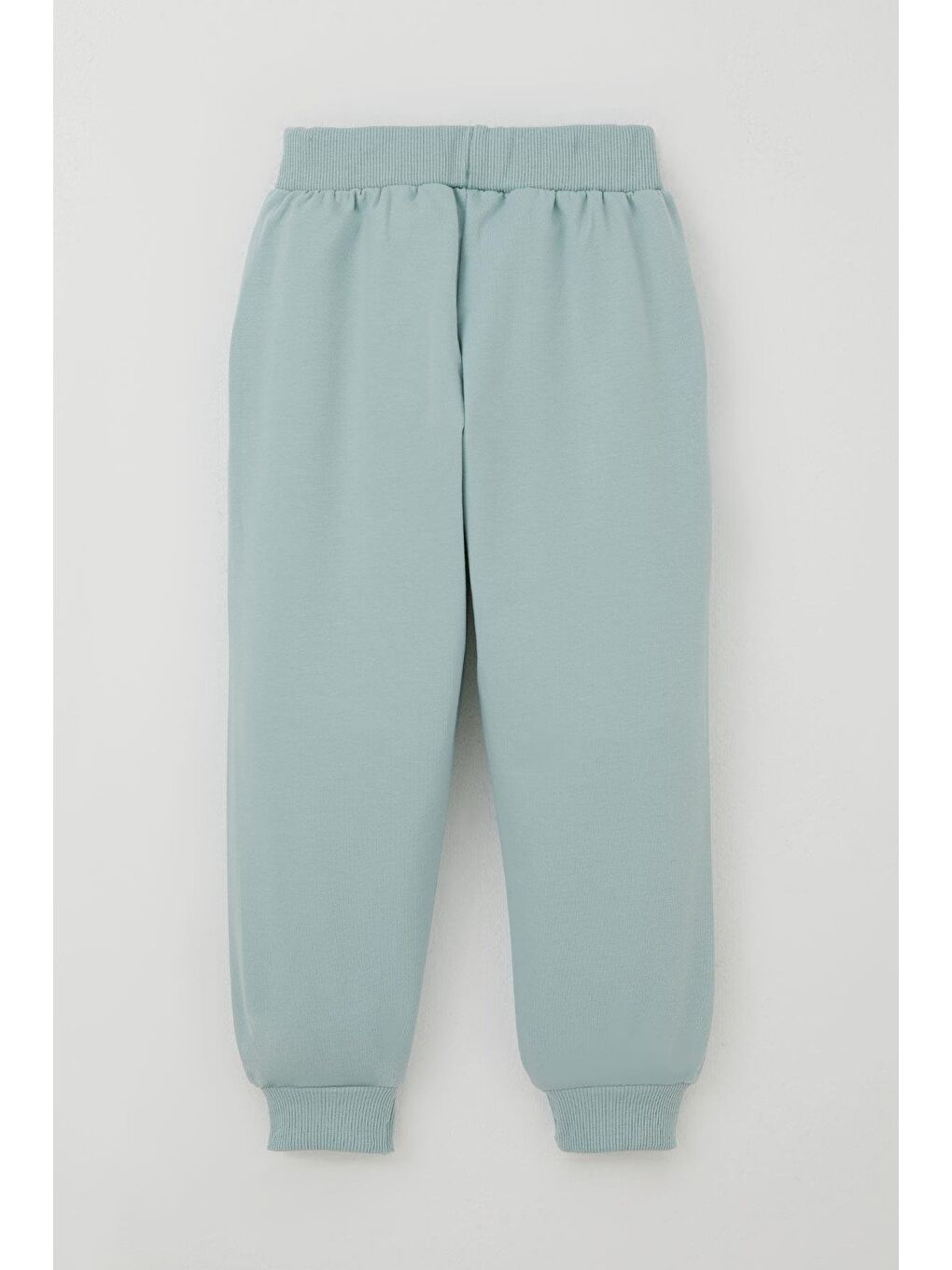 Turkuaz Erkek Çocuk Eşofman Takımı Sevimli Kaplan Nakışlı Su Yeşili (1-4 Yaş)-6