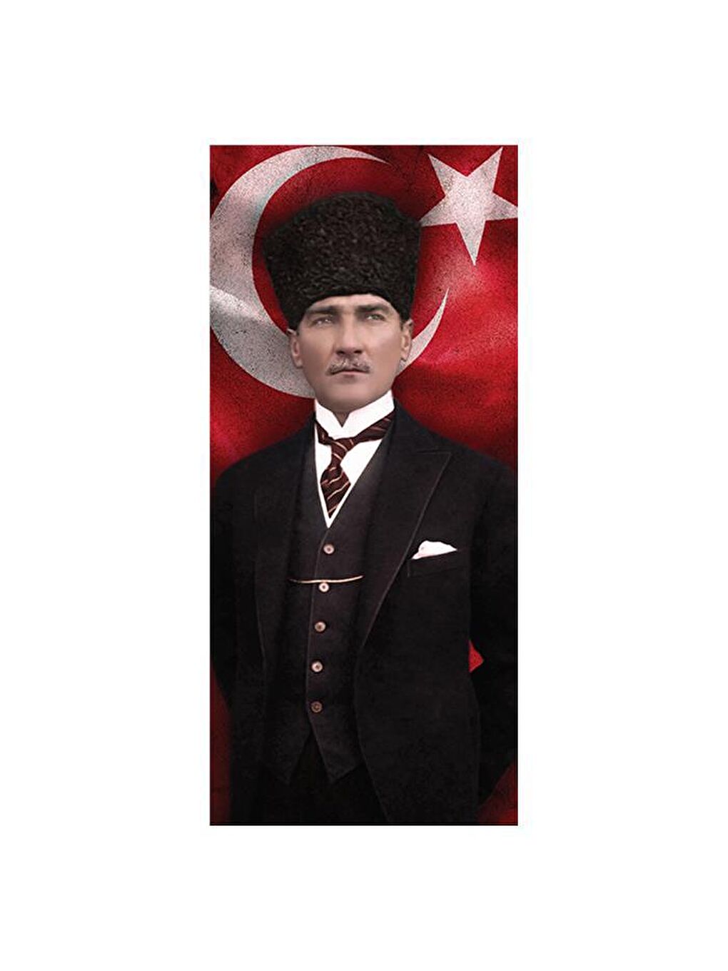 Blue Focus Karışık 230 Parça Puzzle - Gazi Mustafa Kemal