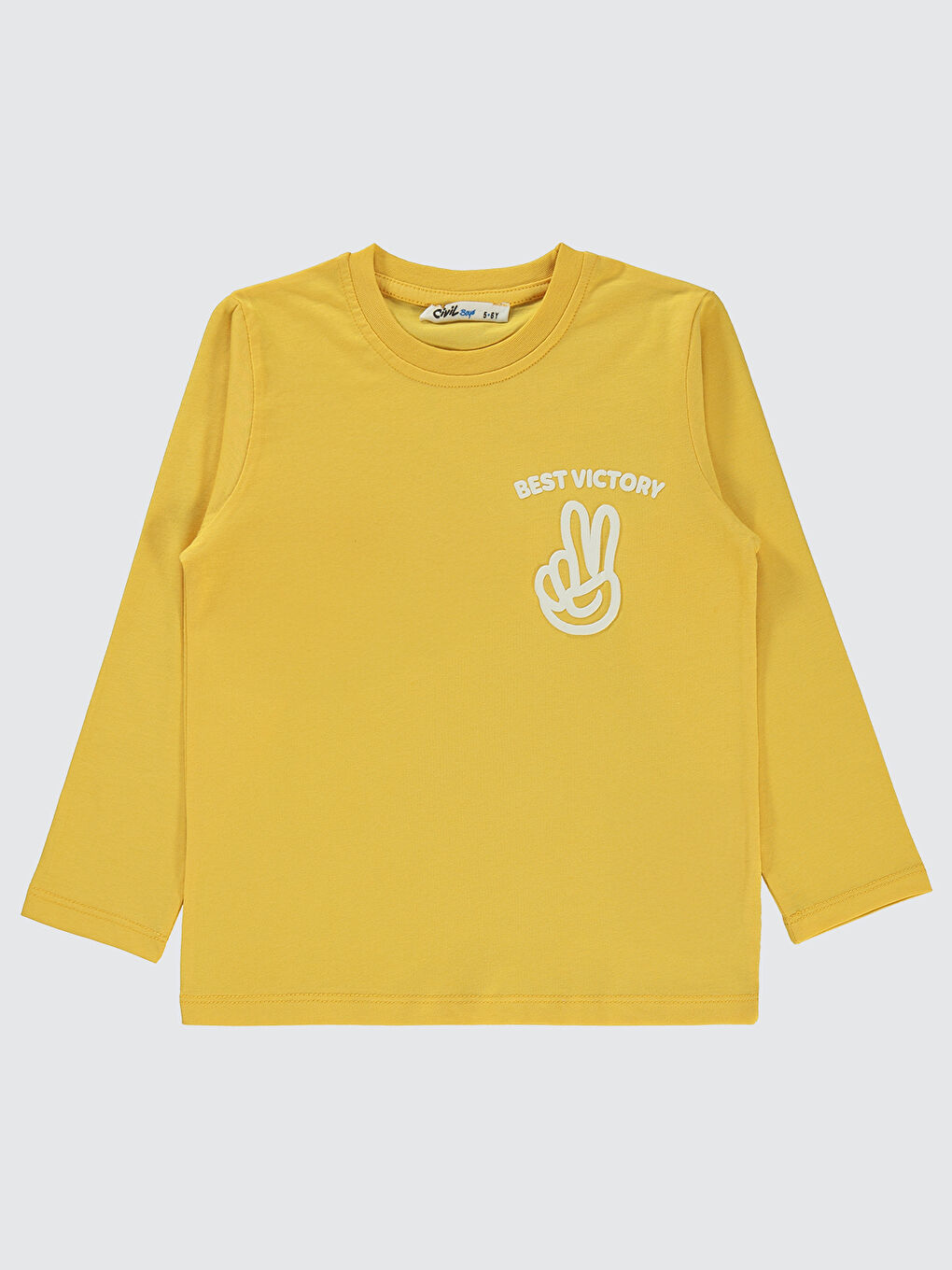 Boys Erkek Çocuk 2'li Sweatshirt 5-13 Yaş Sarı-2