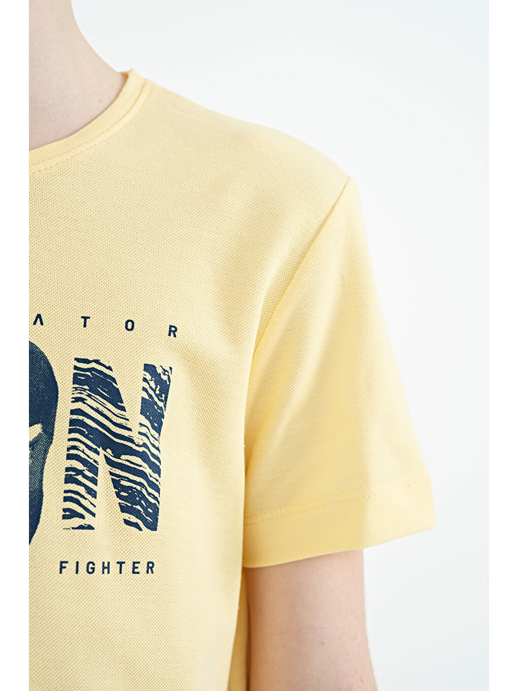 Sarı Ön Yazı Nakışlı O Yaka Standart Kalıp Erkek  Çocuk Tişört - 11118-2