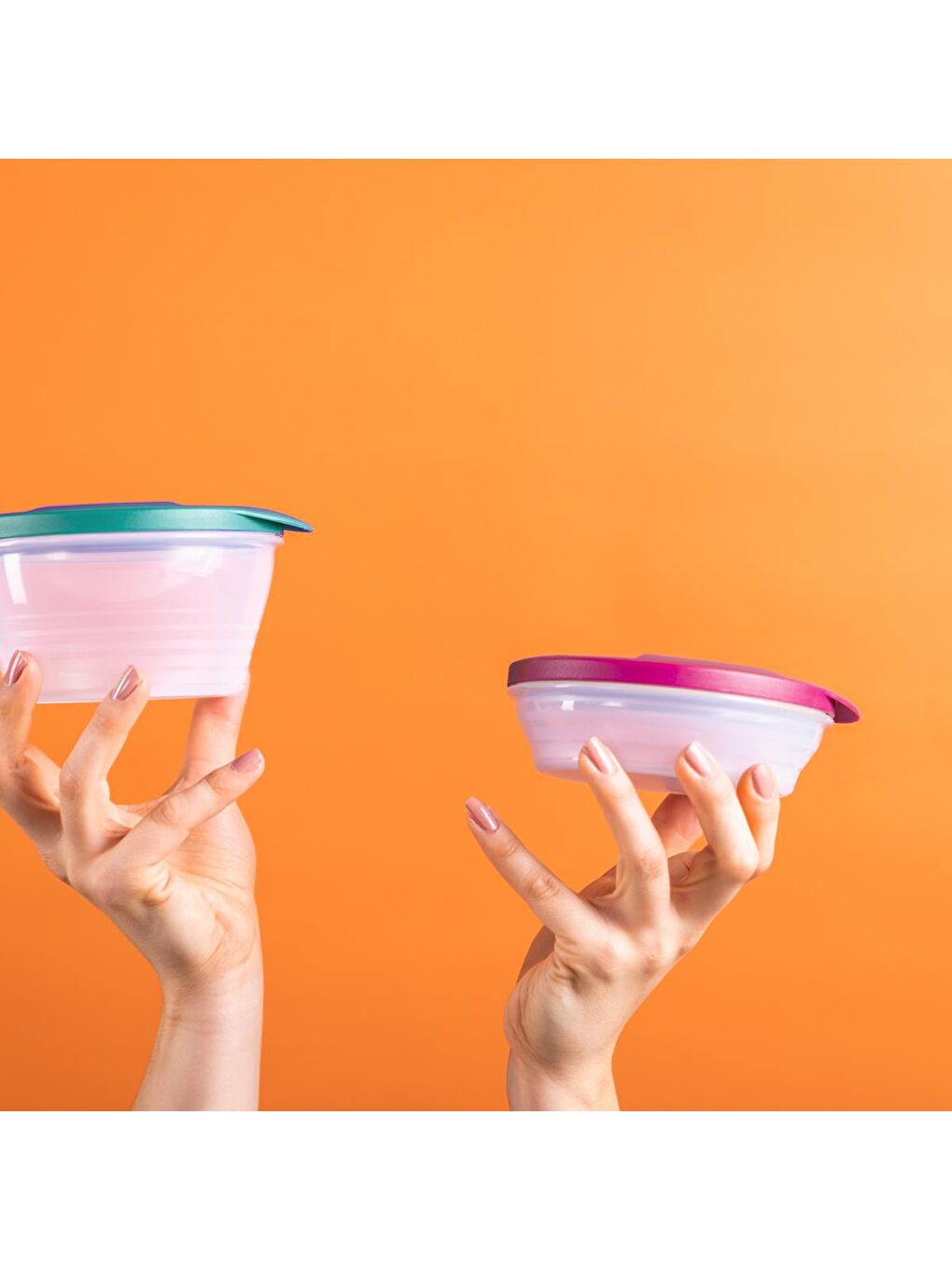 Karışık Düet Kaplar (240ml ve 500ml) Deniz Mavisi-Mor-3