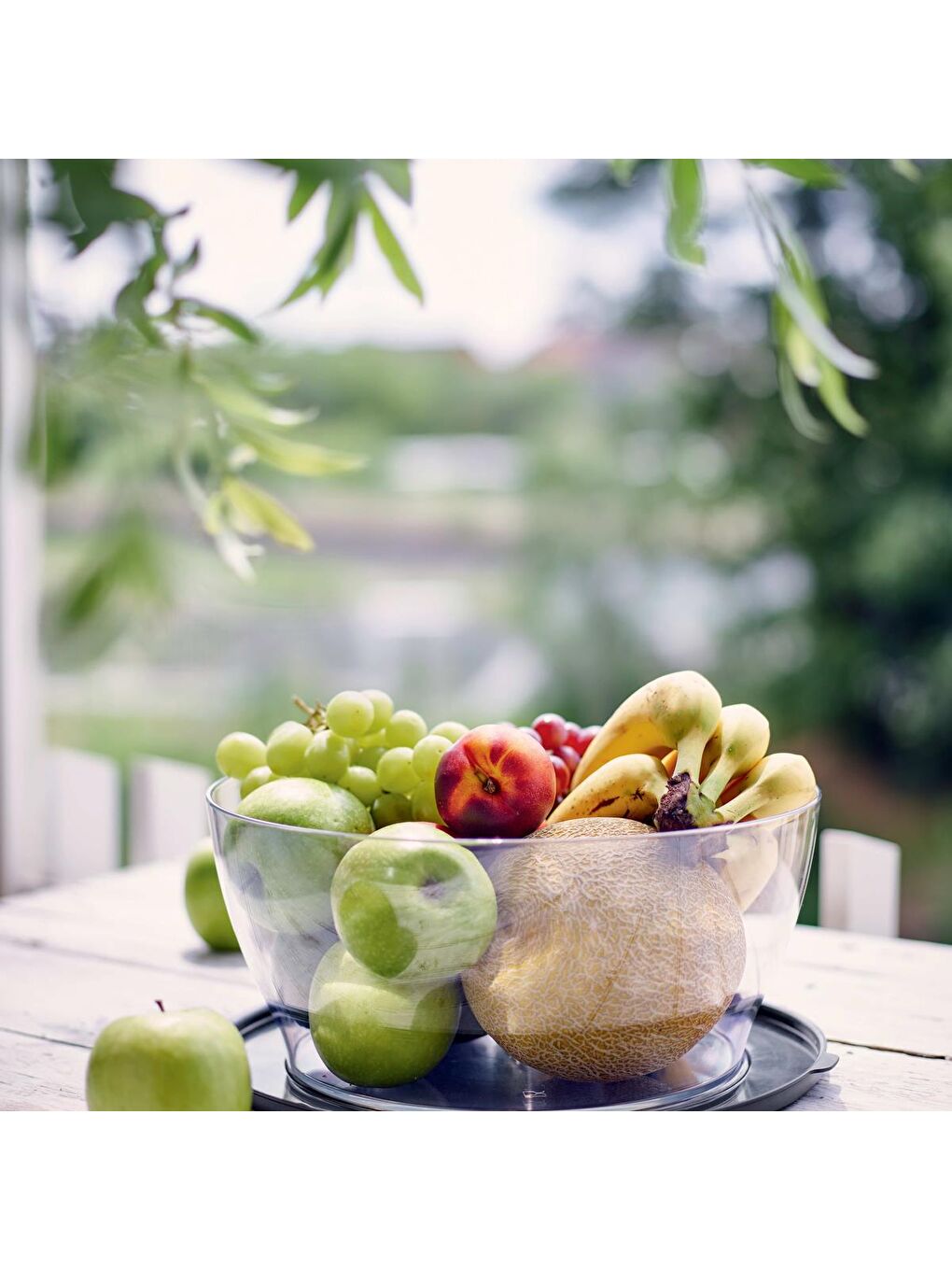 Eco+ Royal Saklama Kabı  6L Siyah-1