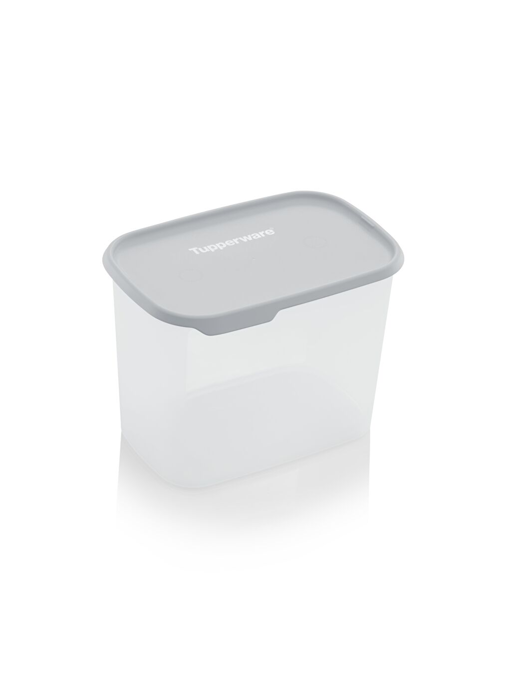 Renksiz Tek Dokunuş Dikdörtgen Saklama Kabı  4.4L