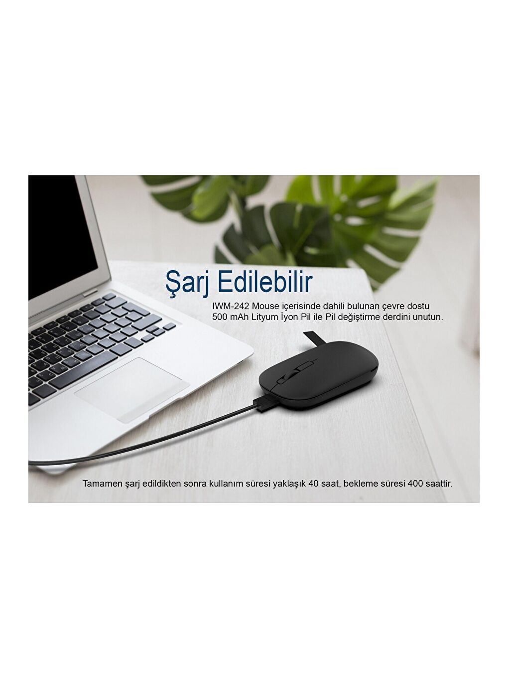 IWM-242S Bluetooth+Wireless Double Mod Rechargeable Handhold Silent Mouse-5