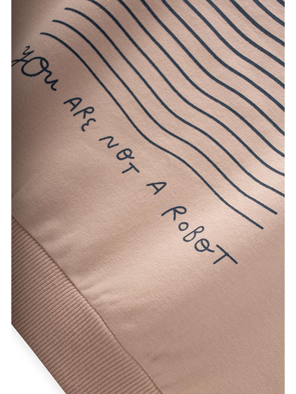 Baskılı Sweatshirt 4-12 Yaş Bej-2