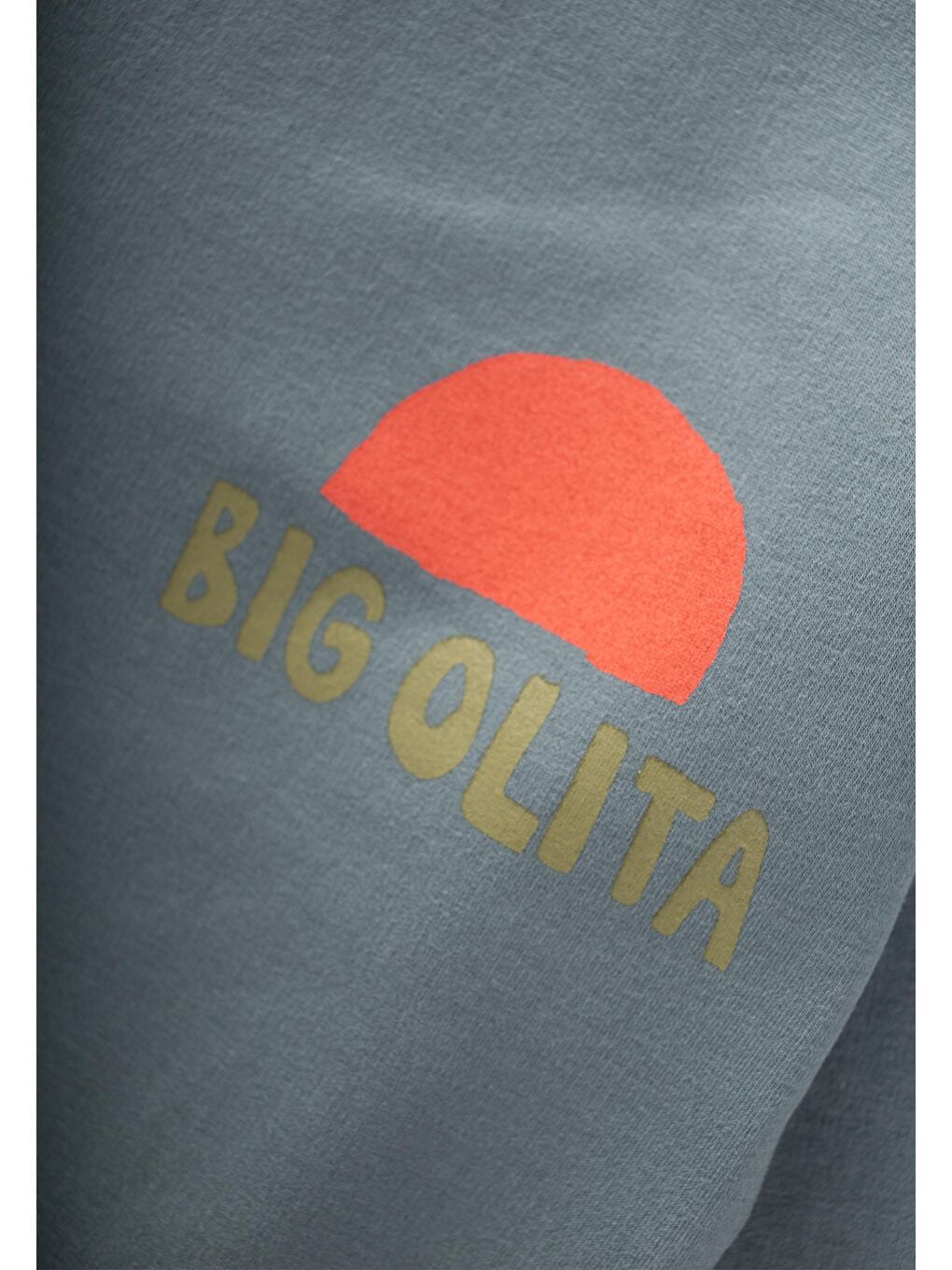 Bıg Olıta Baskılı Sweatshirt 2-10 Yaş Çağla Yeşili-2