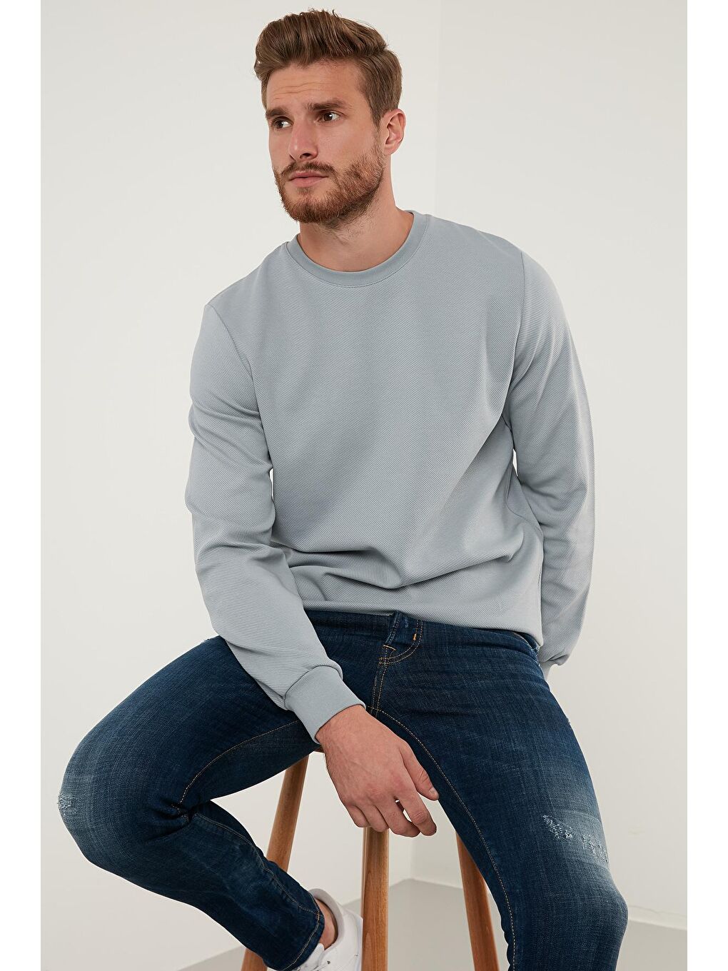 Gri Regular Fit Bisiklet Yaka Pamuklu Sweat 5905337