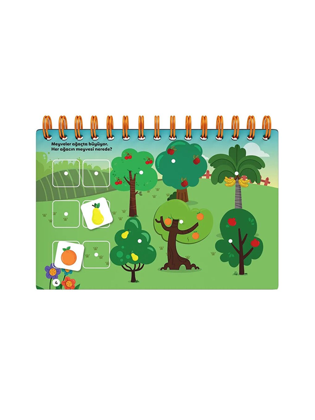 16 24 Ay Cırt Cırtli Aktivite Kitabı-3