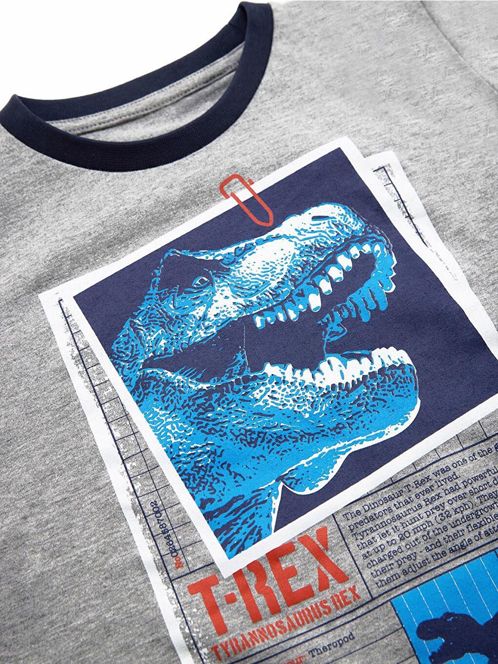 MSHB&G Karışık T-rex Erkek Çocuk T-shirt Eşofman Altı Takım - 4