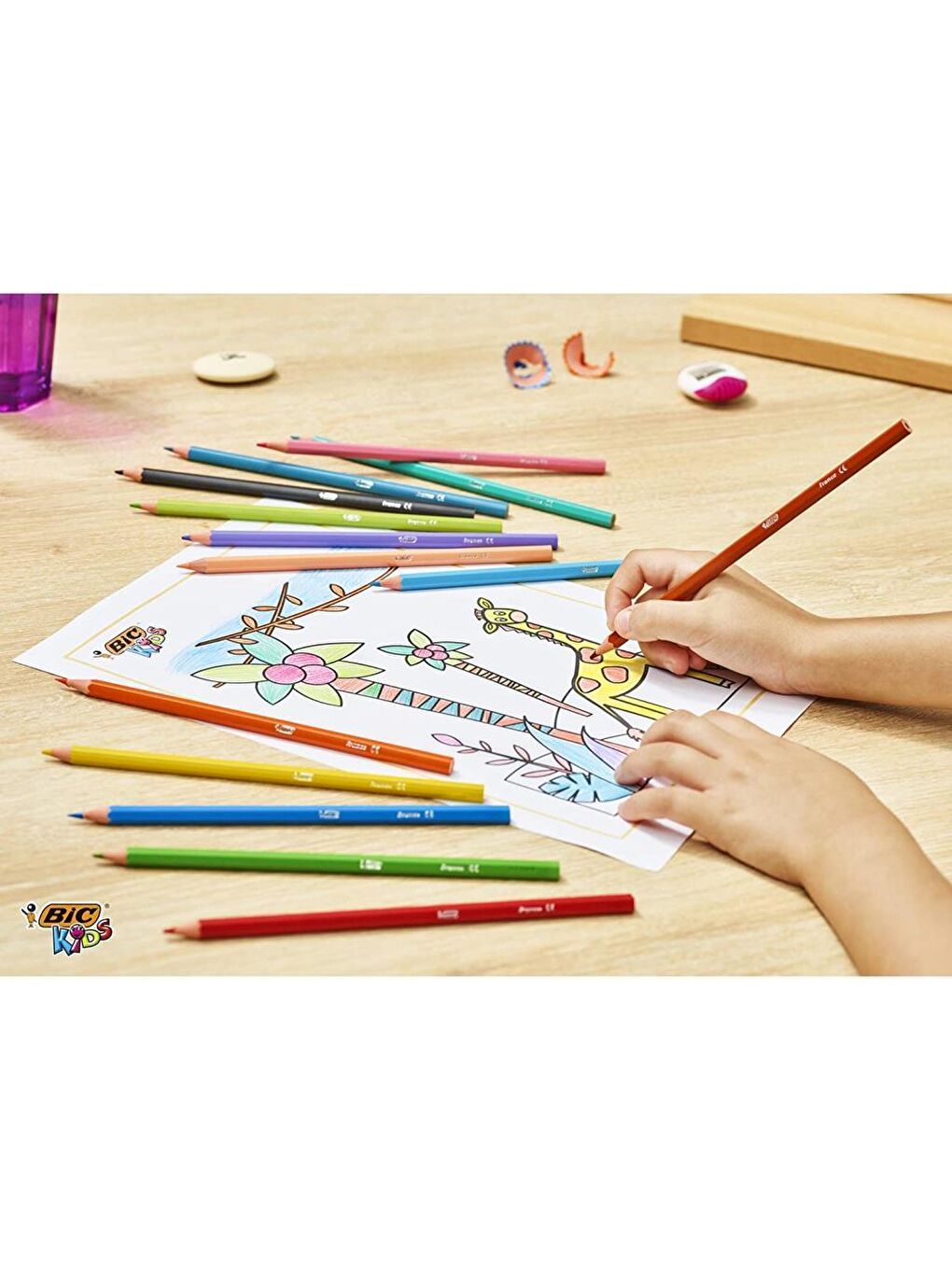 Bic Beyaz Kids Tropicolors Kuru Boya Kalemi 12 Renk Uzun Tam Boy - 4