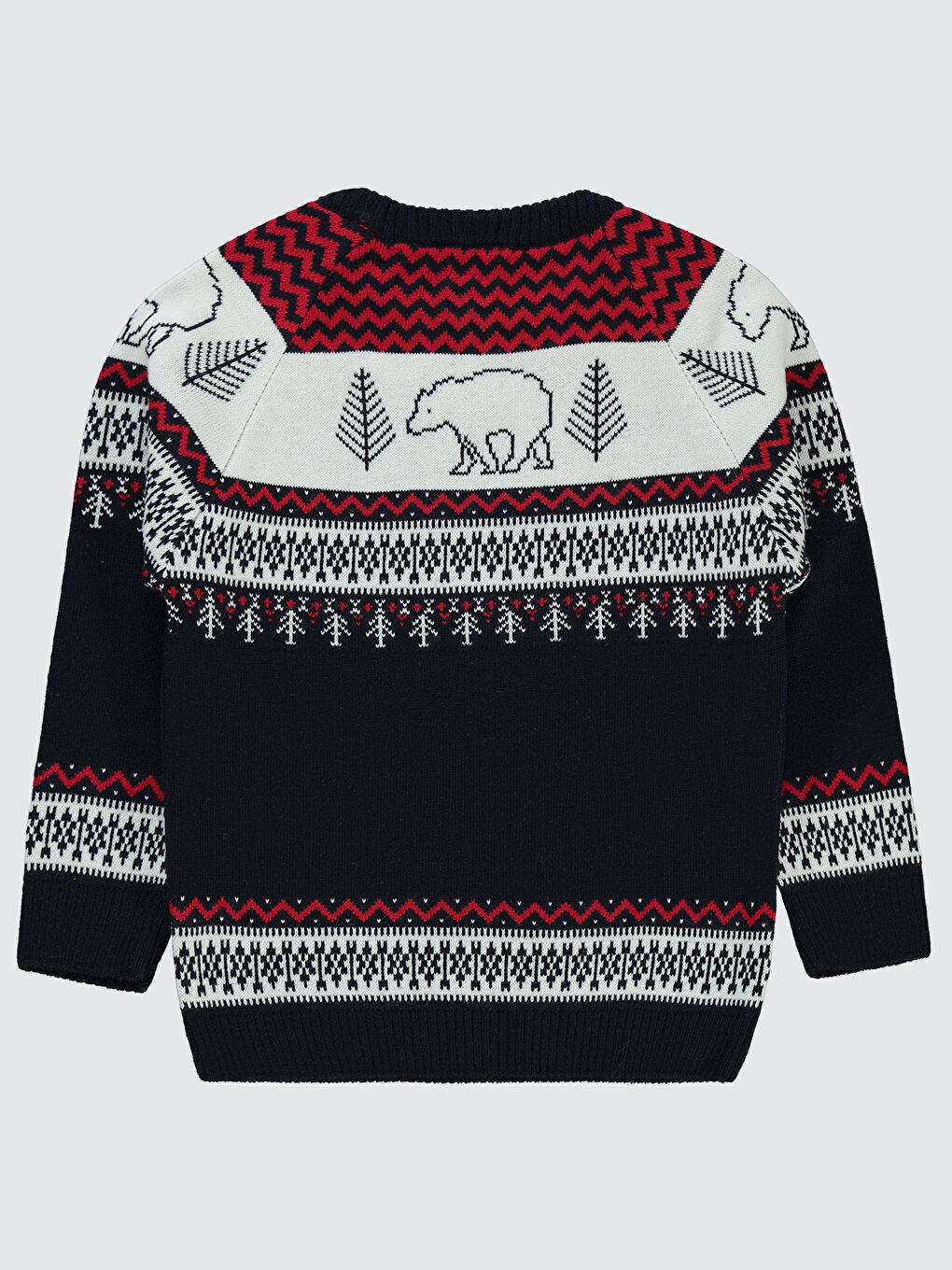 Boys Erkek Çocuk Kazak 2-5 Yaş Lacivert-1