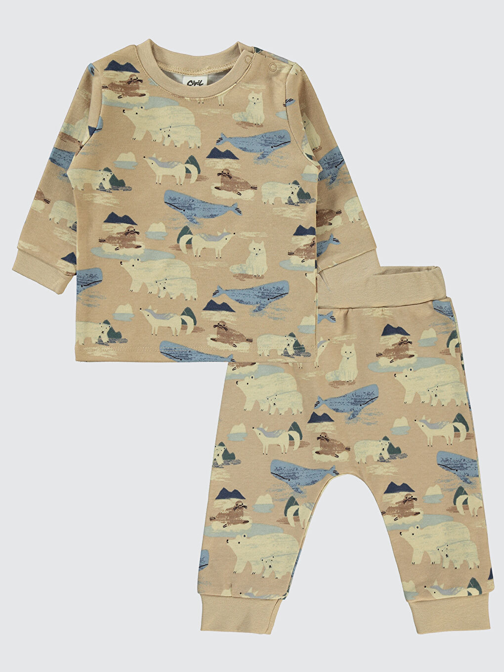 Kahverengi Baby Erkek Bebek Takım 6-18 Ay Sütlü Kahve