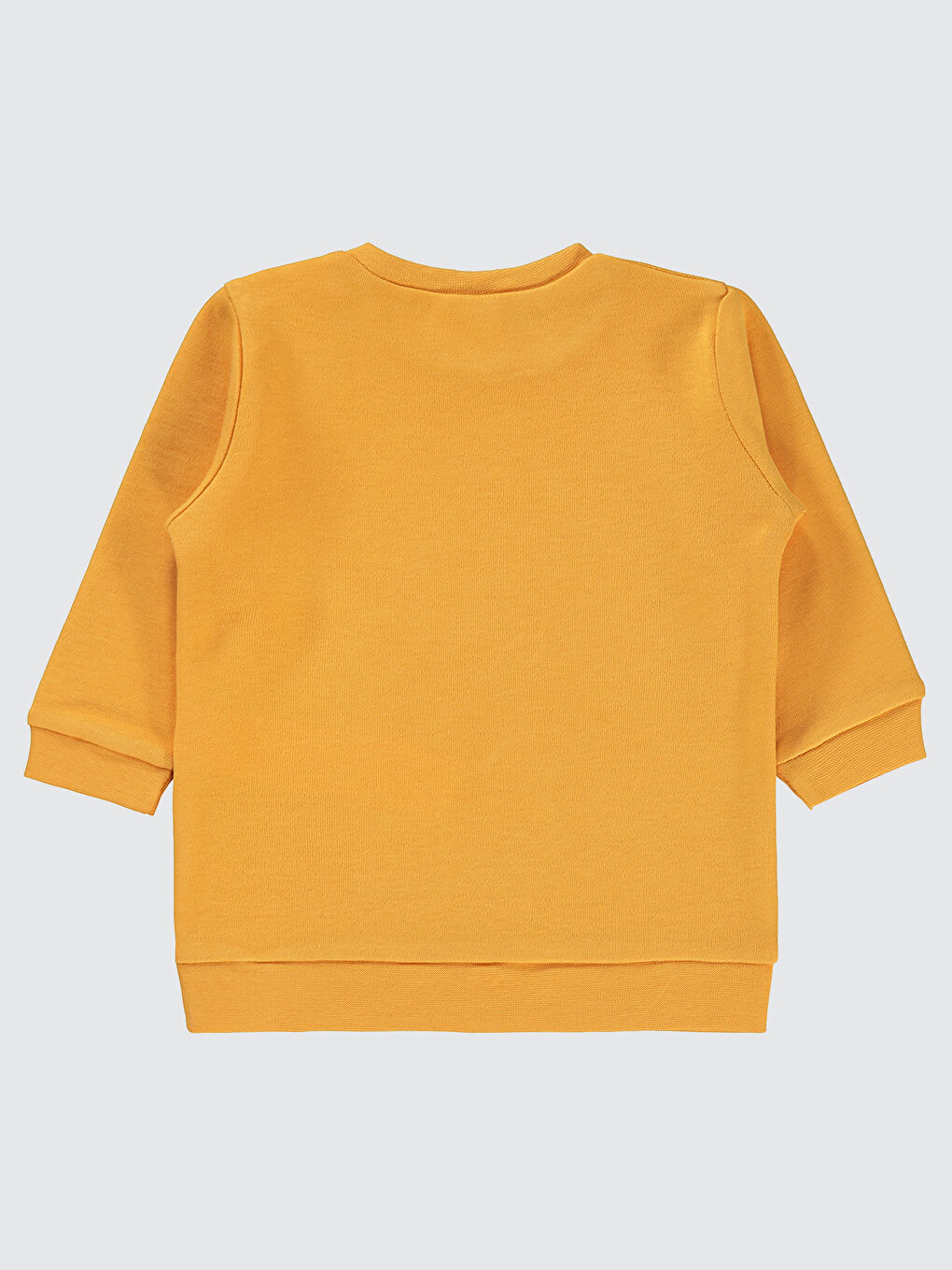 Kahverengi Baby Erkek Bebek Sweatshirt 6-18 Ay Hardal-1