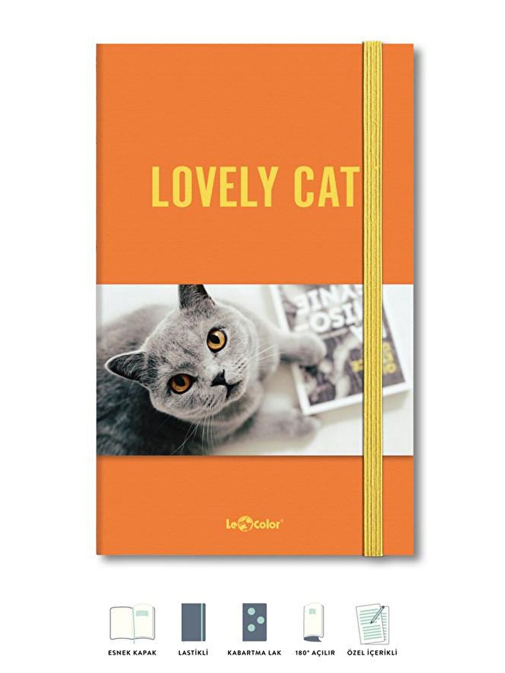 LE COLOR Kedi Dünyası Journal Düz - 1