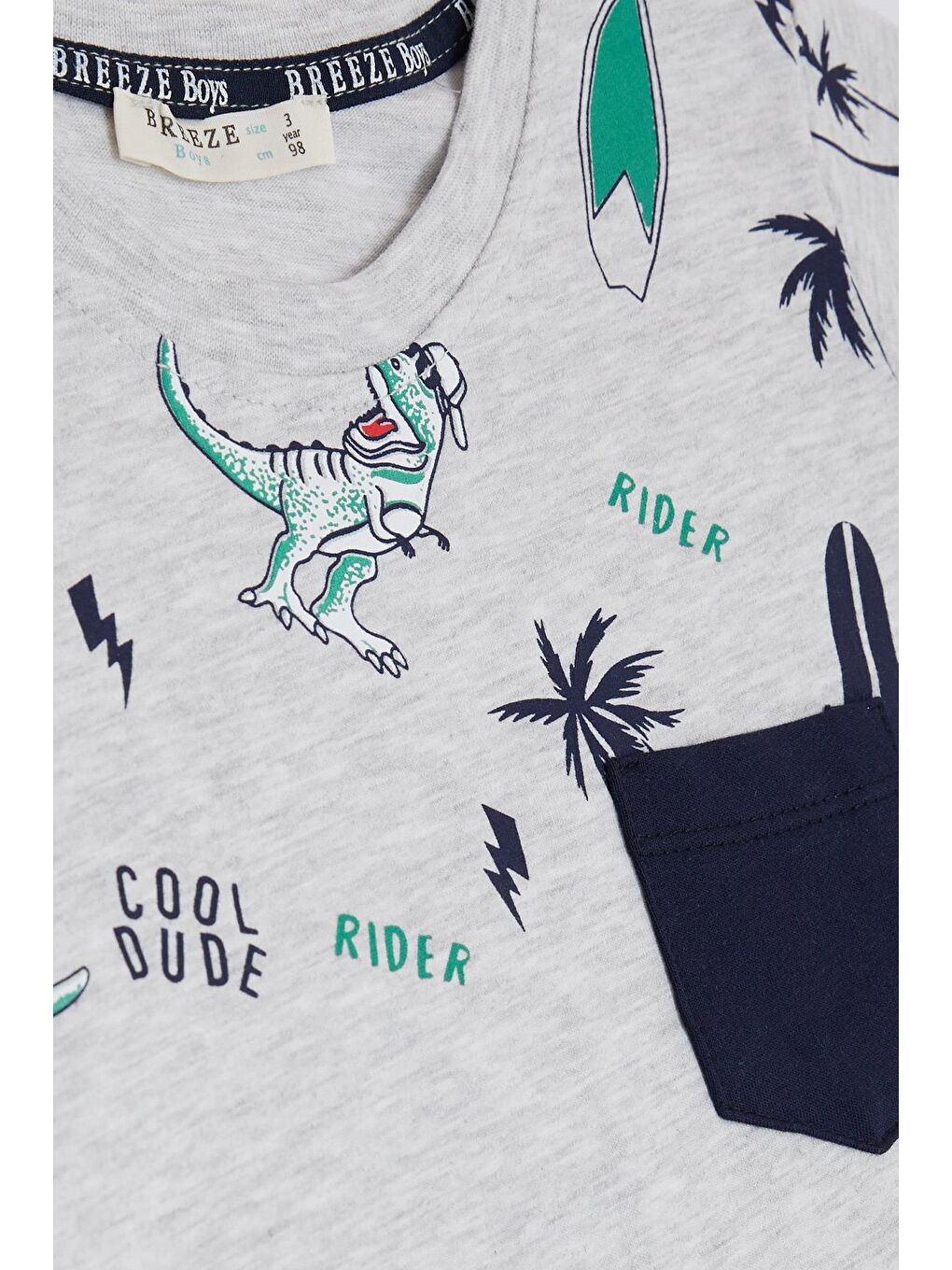 Bej Erkek Çocuk Şortlu Takım Cepli Havalı Dinozor Desenli Açık Gri Melanj (1.5-5 Yaş)-4