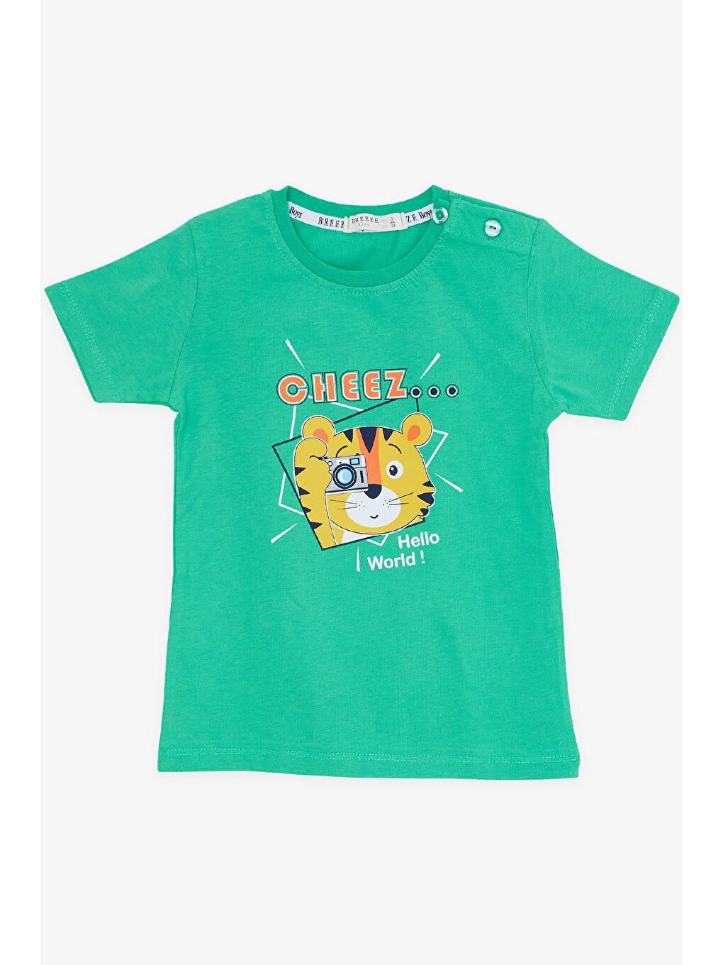 Erkek Çocuk Şortlu Takım Fotoğrafçı Aslancık Baskılı Yeşil (1-4 Yaş)-1