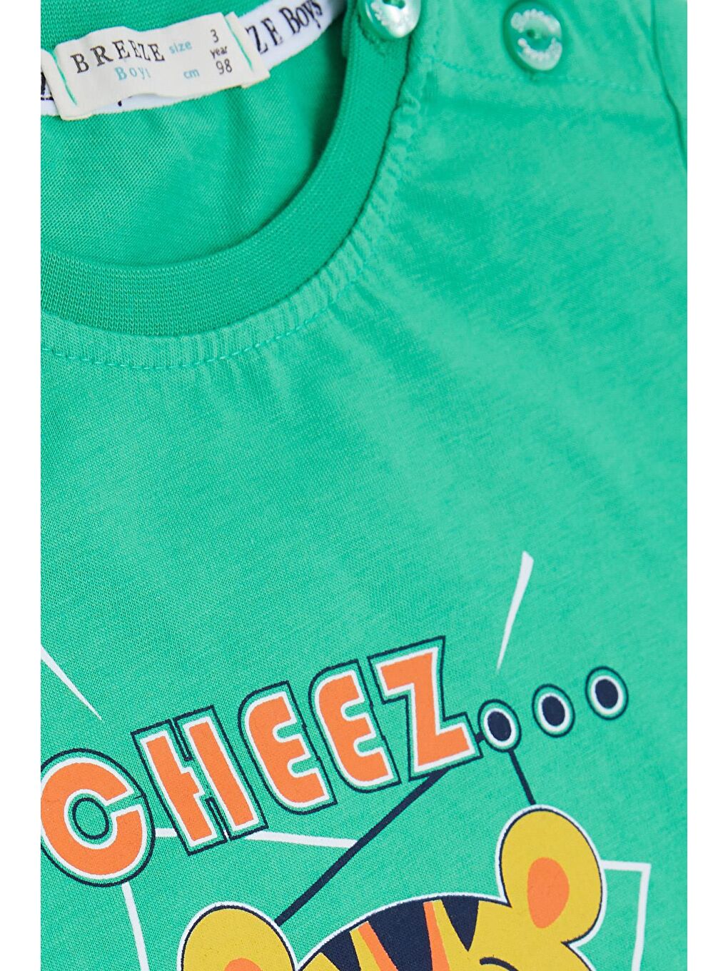 Erkek Çocuk Şortlu Takım Fotoğrafçı Aslancık Baskılı Yeşil (1-4 Yaş)-2