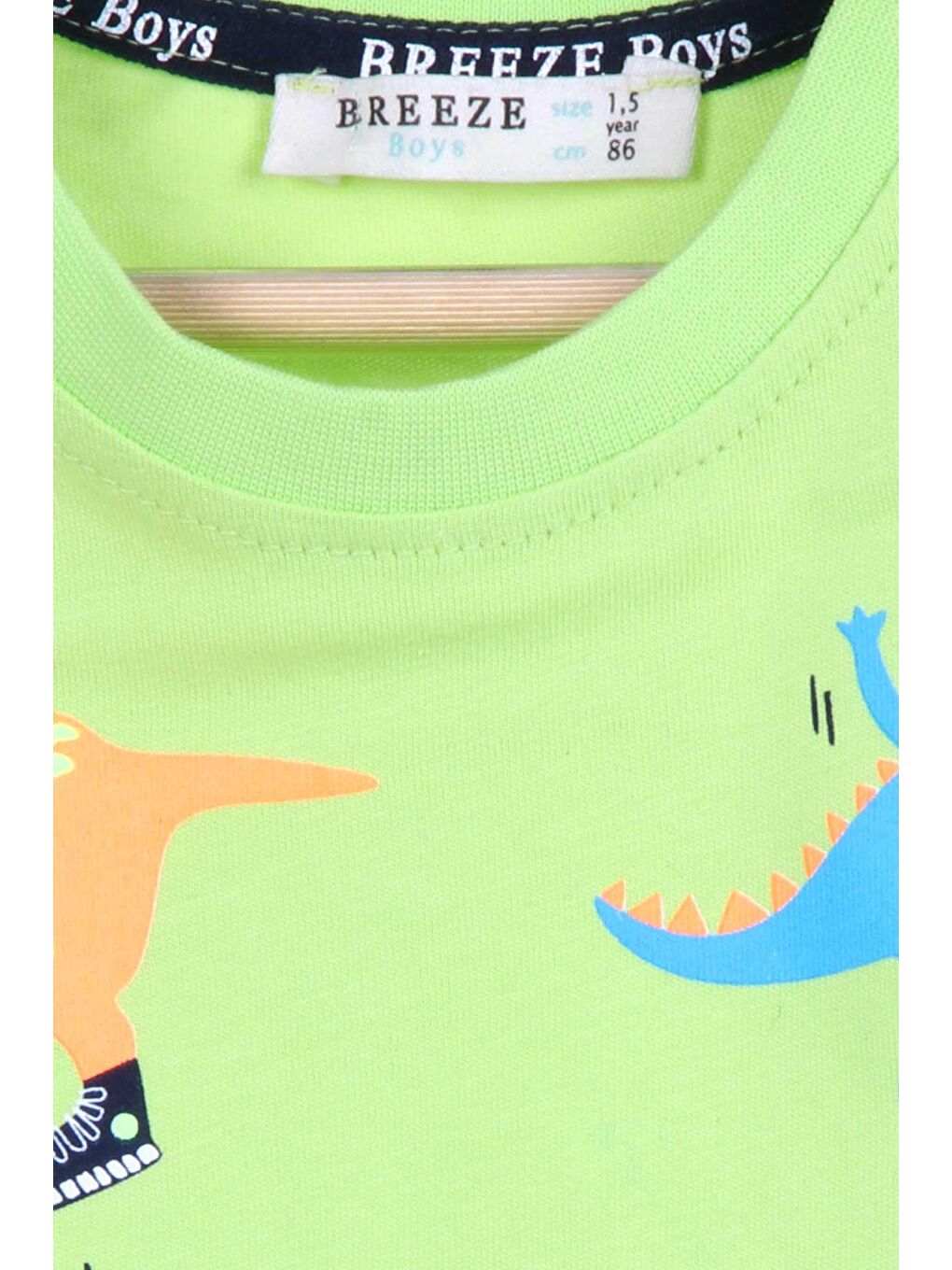 Erkek Bebek Şortlu Takım Dinozor Baskılı Fıstık Yeşili (2-5 Yaş)-3