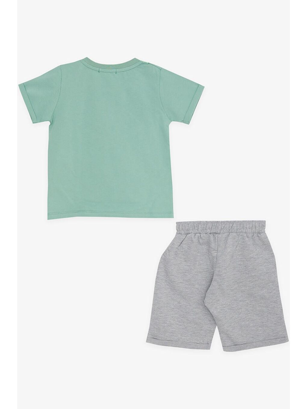 Erkek Çocuk Şortlu Takım Mutlu Dinozor Aile Baskılı Mint Yeşili (1-3 Yaş)-1